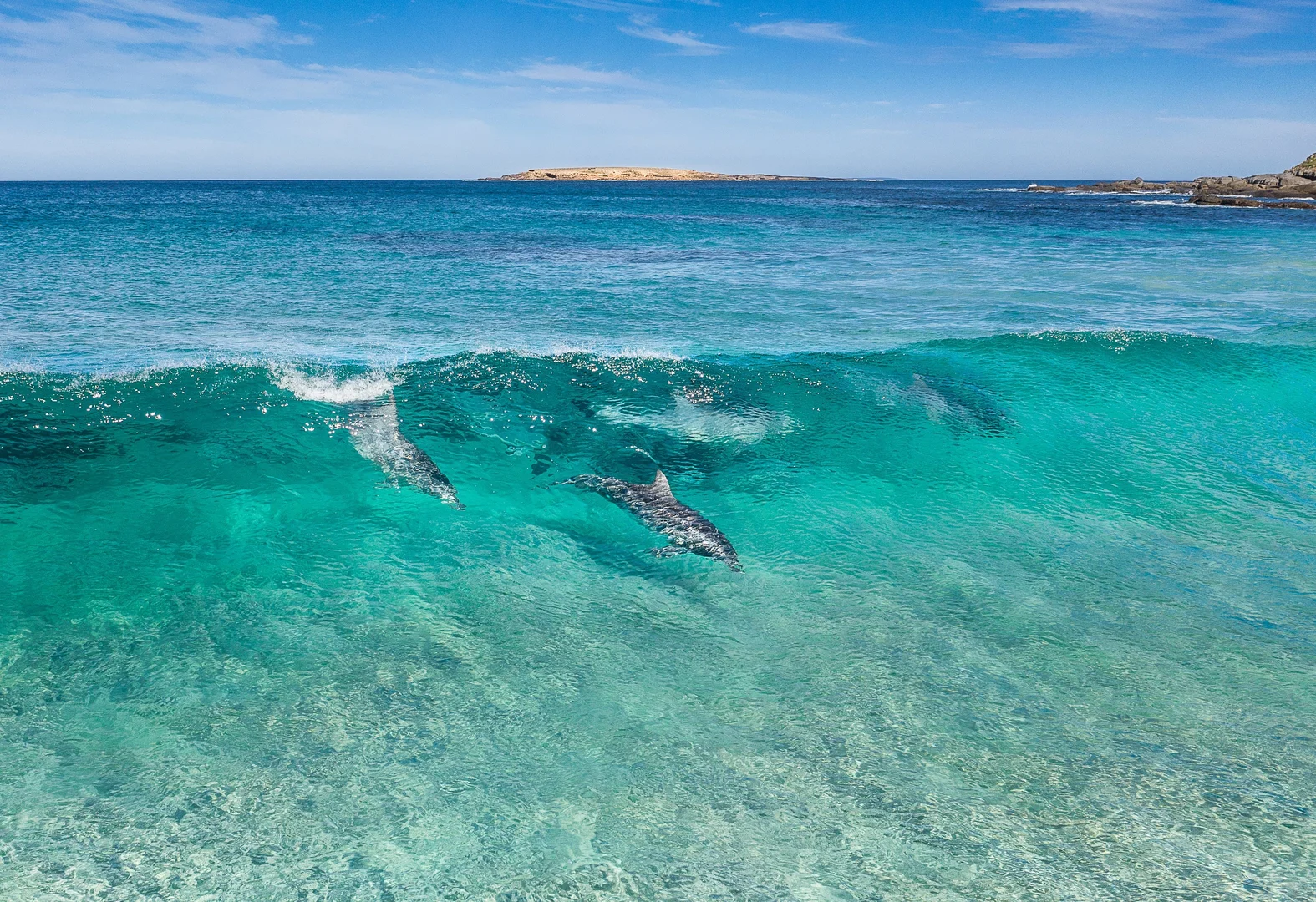 Additional image 12 of 25 Whalers Drive, Port Lincoln SA 5606