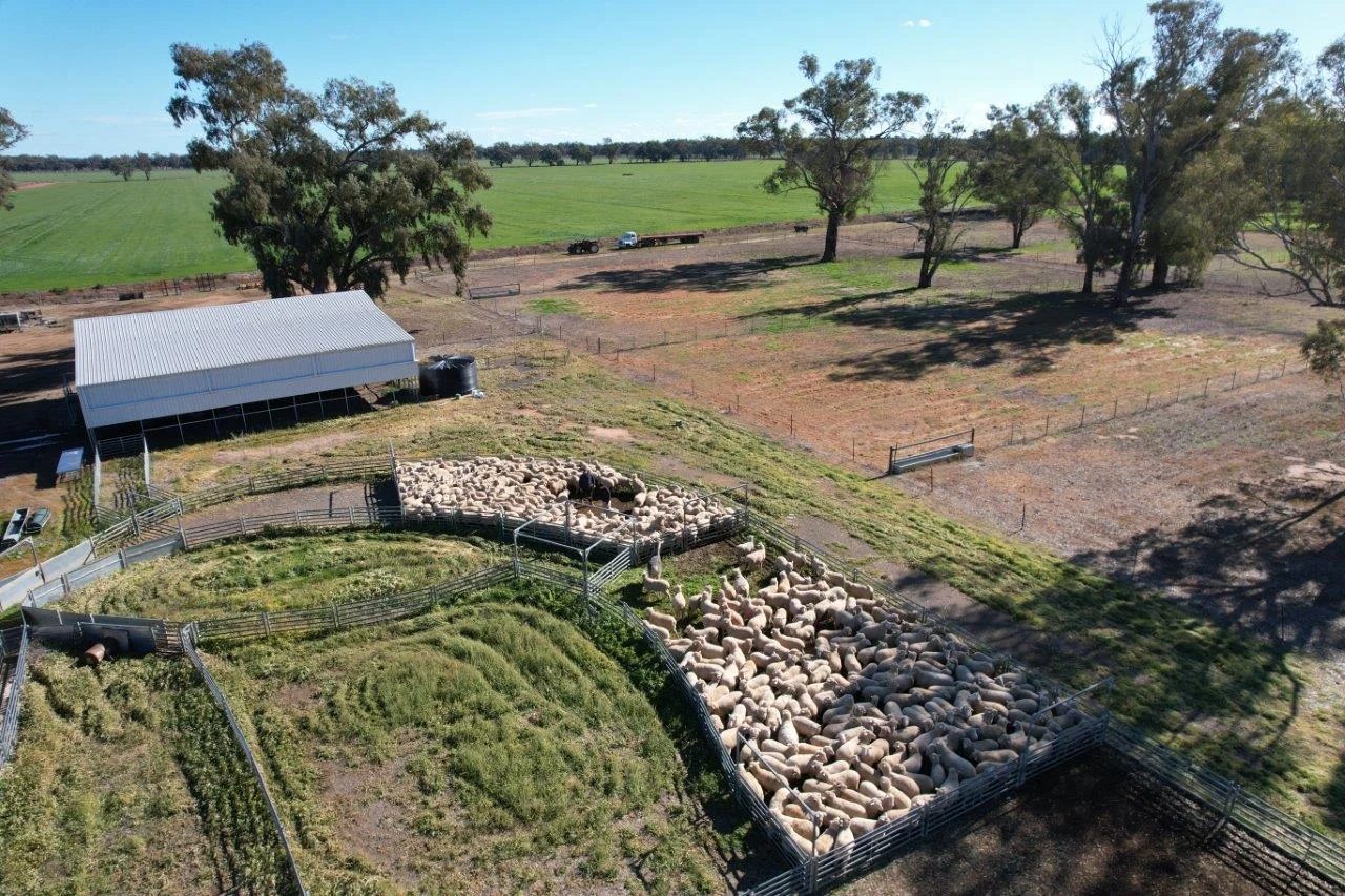 Additional image 39 of 8065 Lachlan Valley Way, Forbes NSW 2871