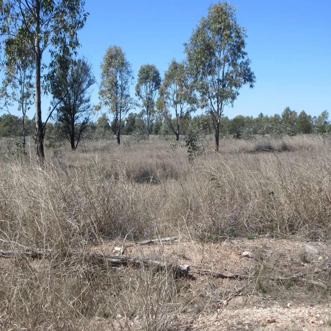 Additional image 3 of Lot/115 Kofoeds Road, Tara QLD 4421