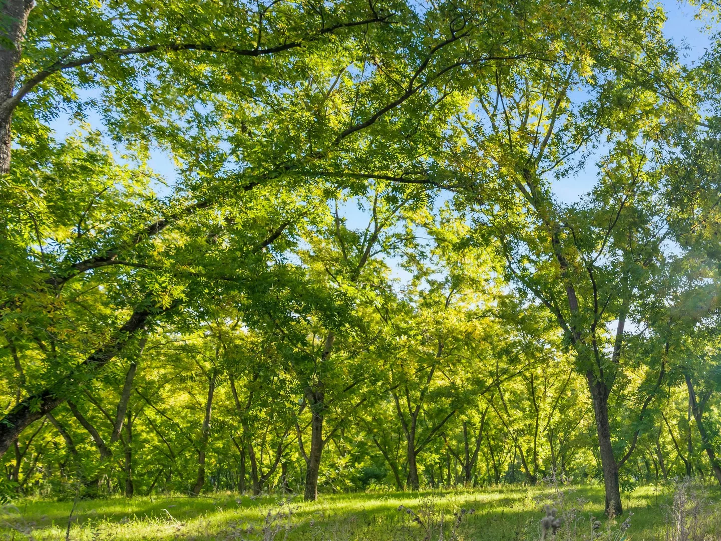 Additional image 13 of 863 Upper Macdonald Road, Upper Macdonald NSW 2775