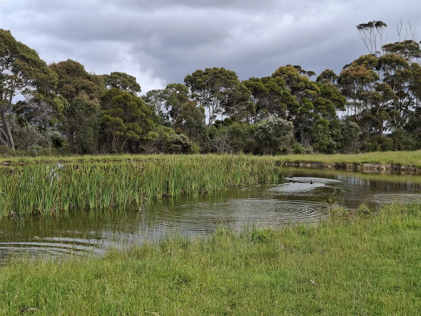 Additional image 25 of 38491 South Western Highway, Broke WA 6398