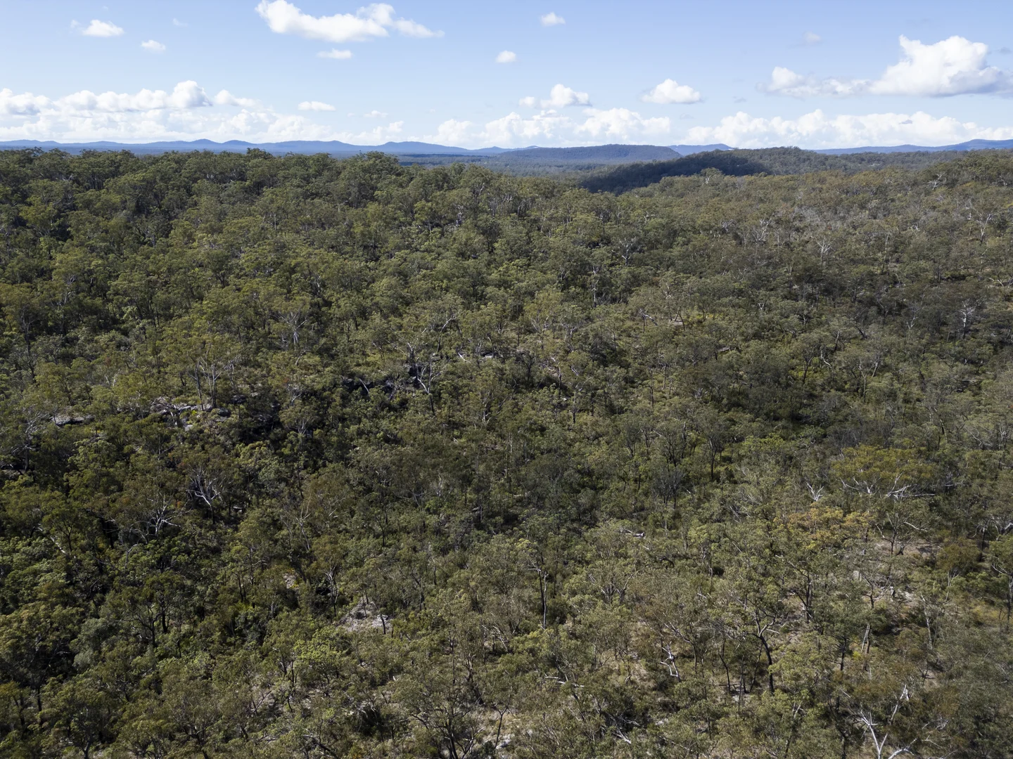 Additional image 21 of 427 Middle Creek Road, Kangaroo Creek NSW 2460