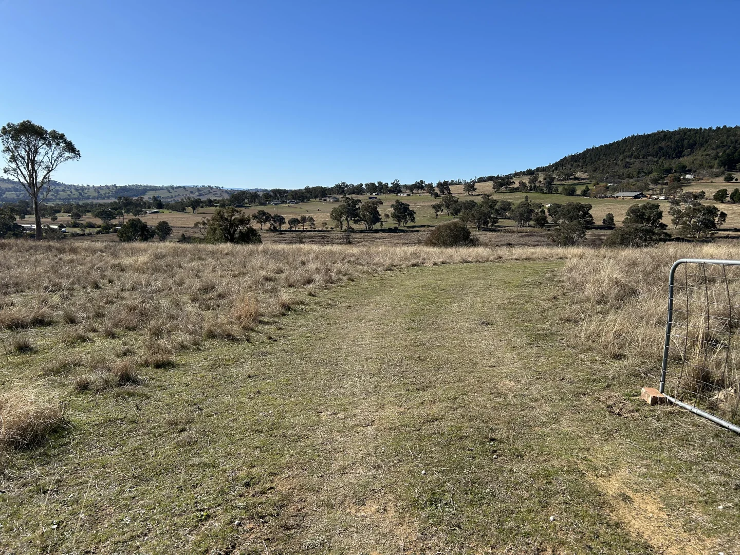 Additional image 16 of 1174 Pine Mount Road, Woodstock NSW 2793