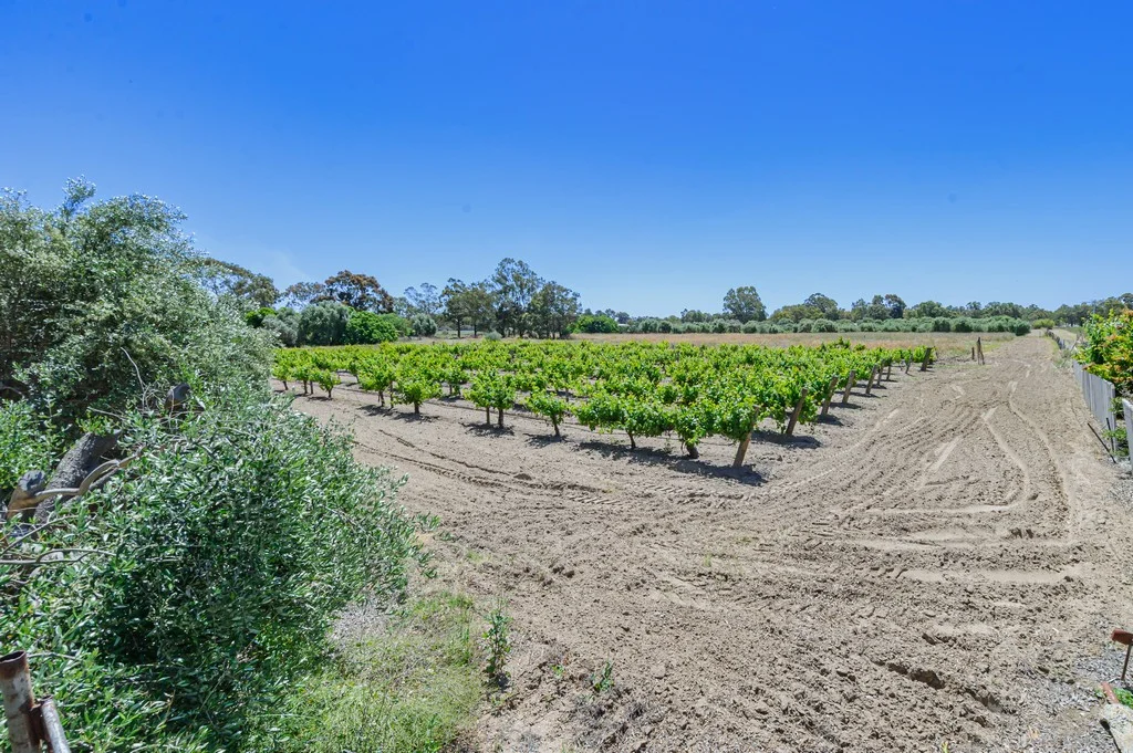 Additional image 19 of 115 Haddrill Road, Baskerville WA 6056