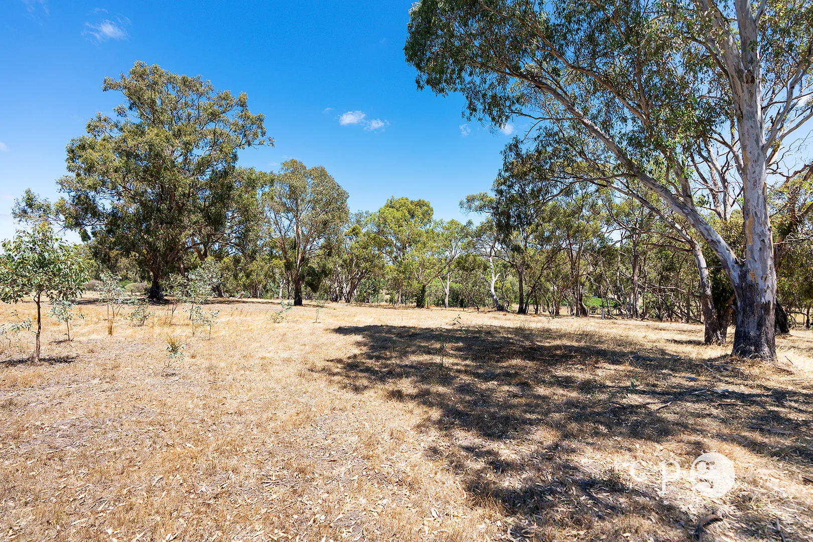 Additional image 13 of 256 Blackjack Road, Harcourt VIC 3453