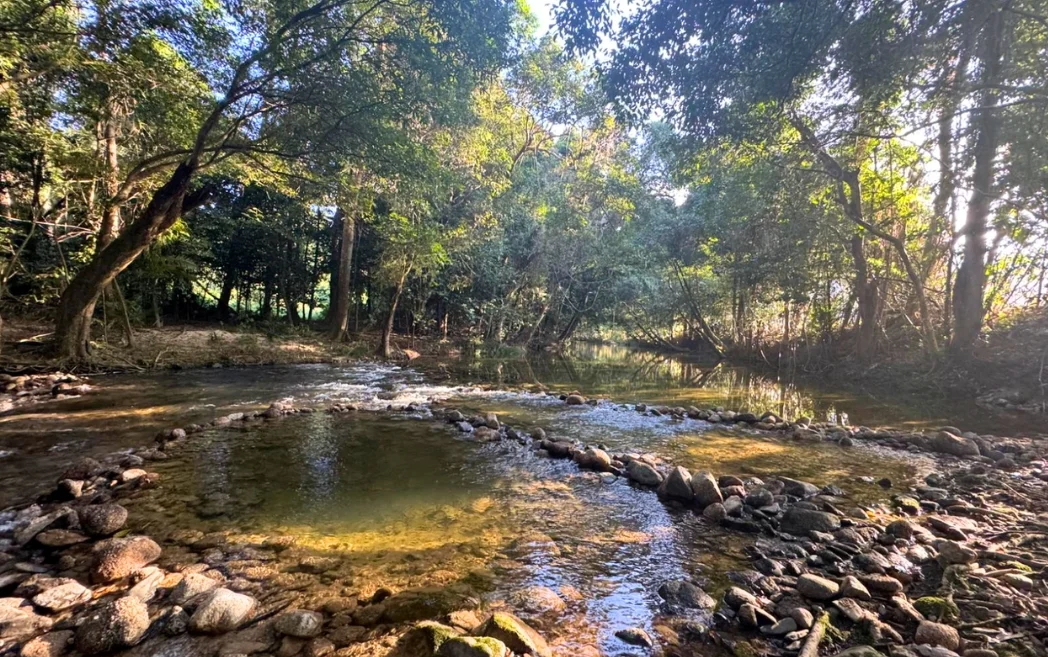 Additional image 3 of Lot 5 Whyanbeel Road, Whyanbeel, Mossman QLD 4873