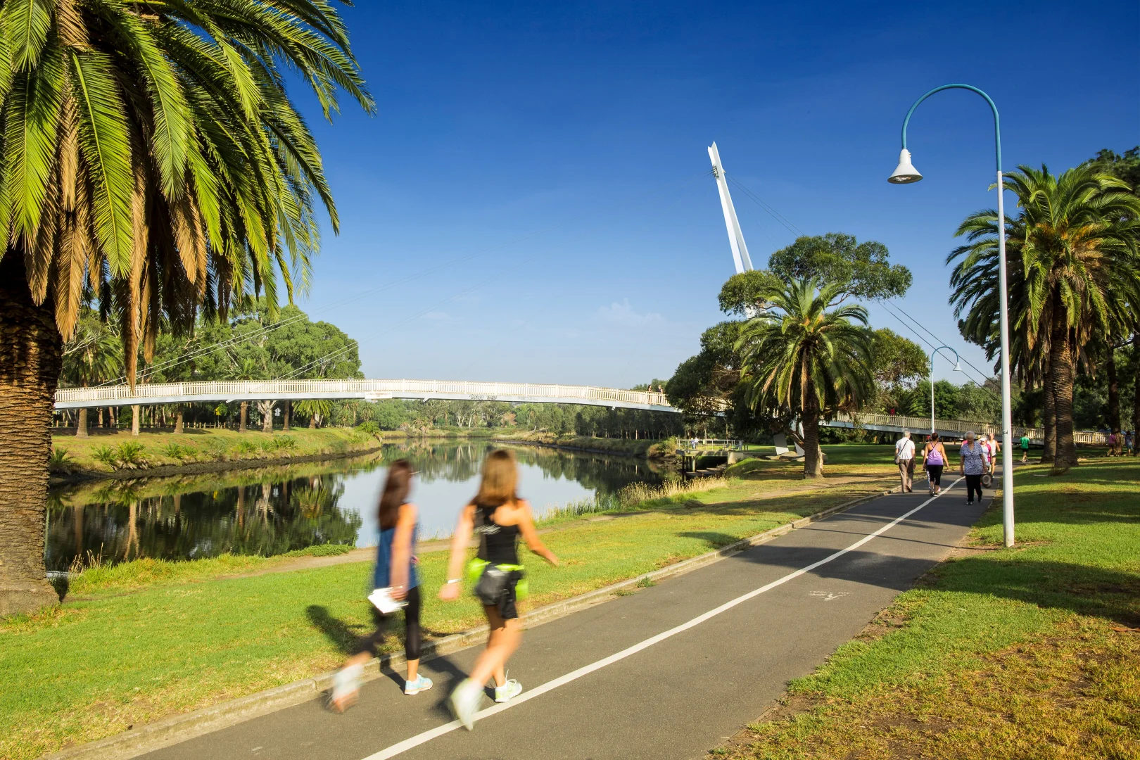 Additional image 37 of 29 Hampton Road, Essendon West VIC 3040