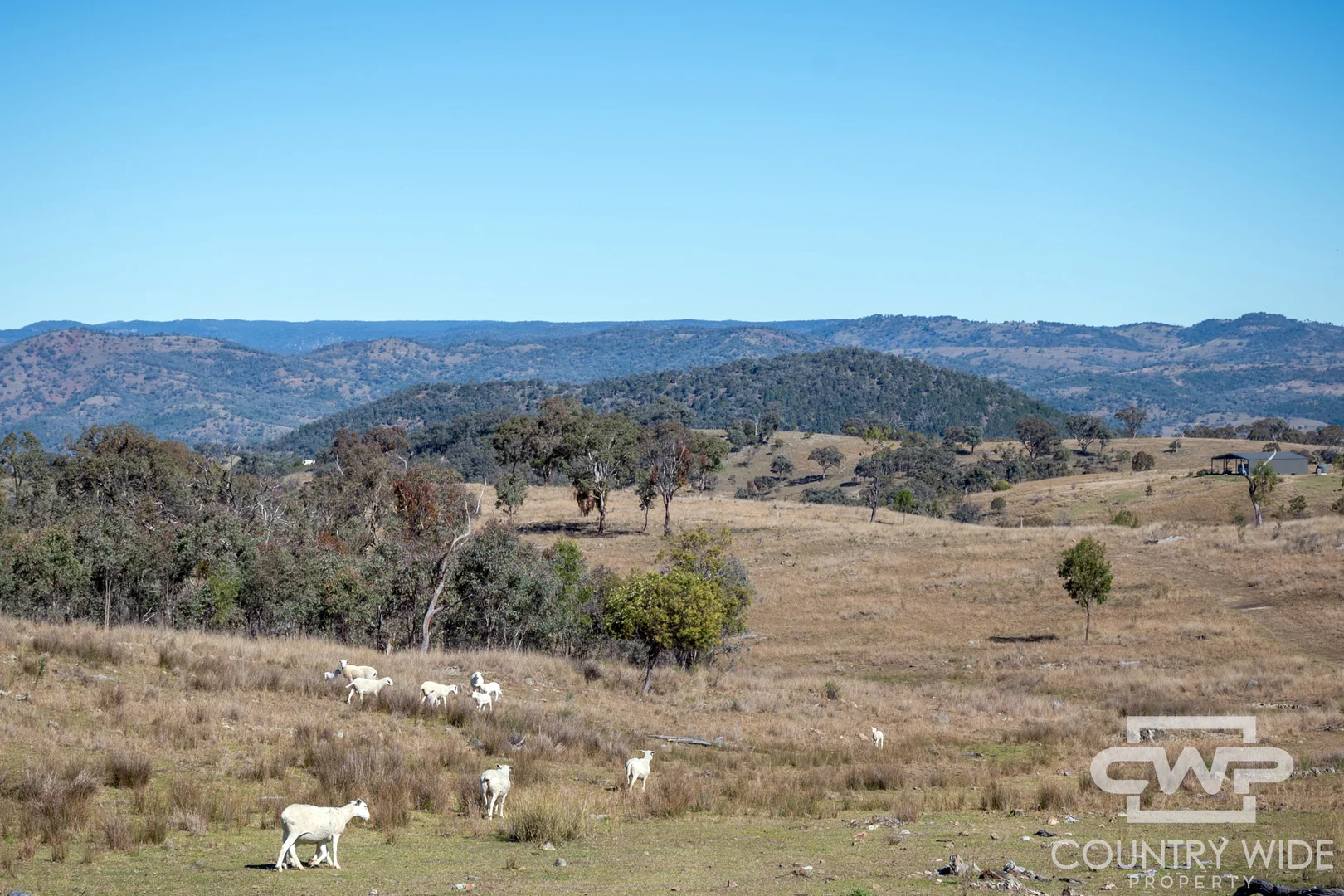 Additional image 4 of 12, 212 Mole Station Road, Tenterfield NSW 2372