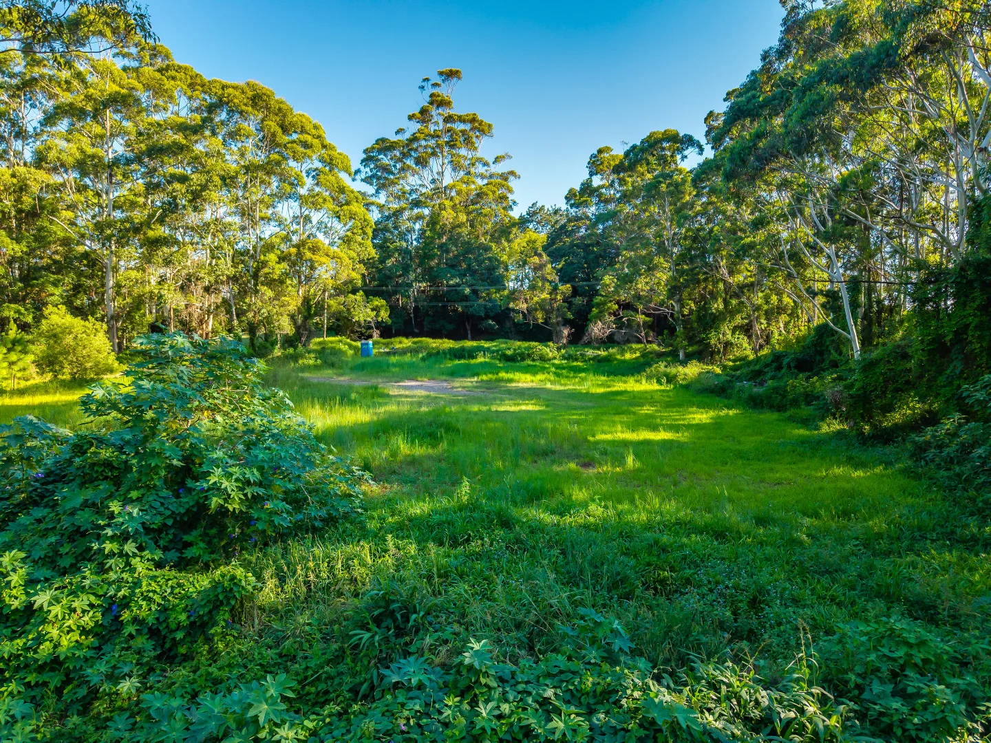 Additional image 48 of 196-276 Kaiser Road, Tamborine Mountain QLD 4272