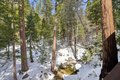 Additional image 35 of 24490 Upper Rim Rock, Idyllwild, CA, 92549