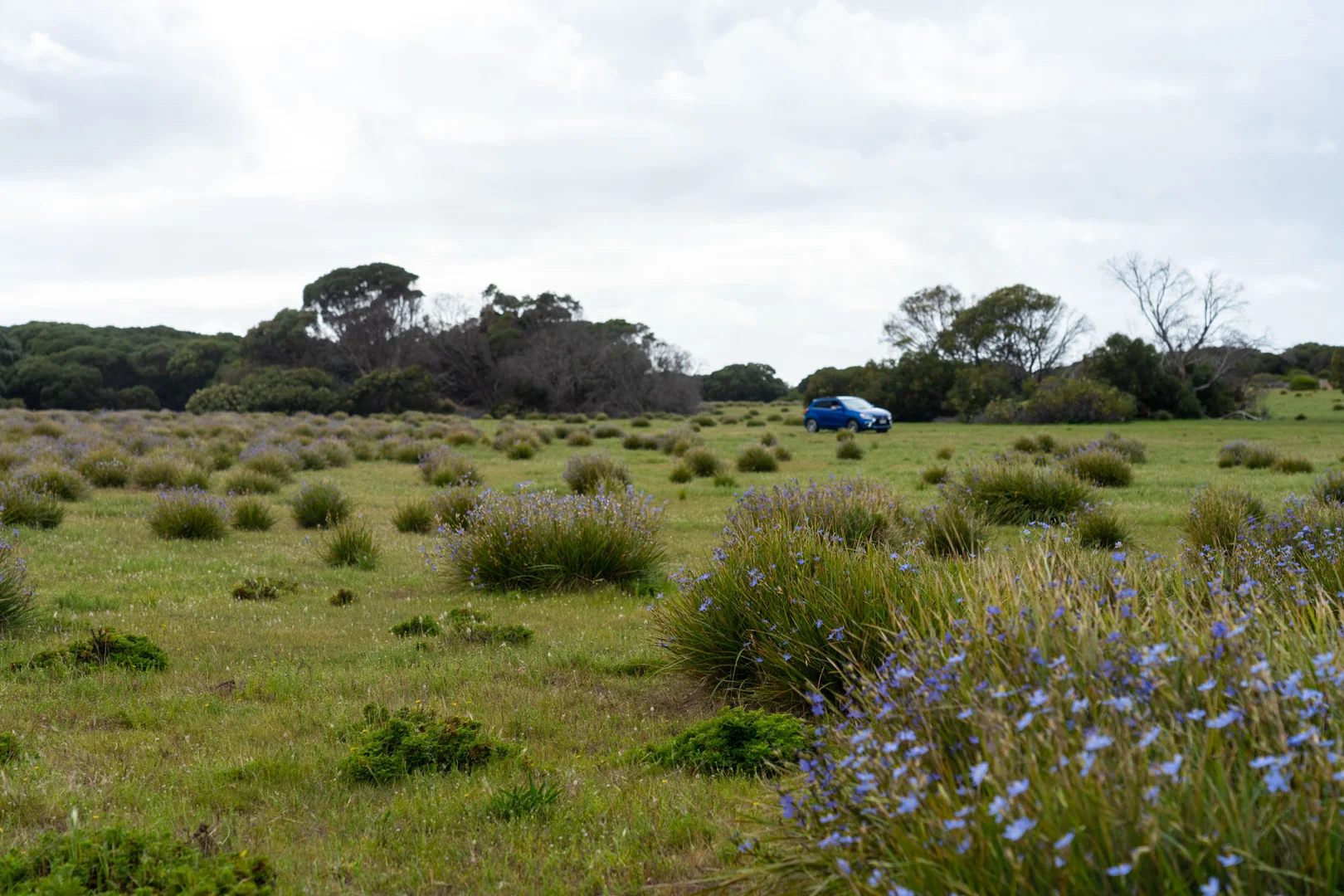 Additional image 20 of 3 Cape Hart Road, Porky Flat SA 5222