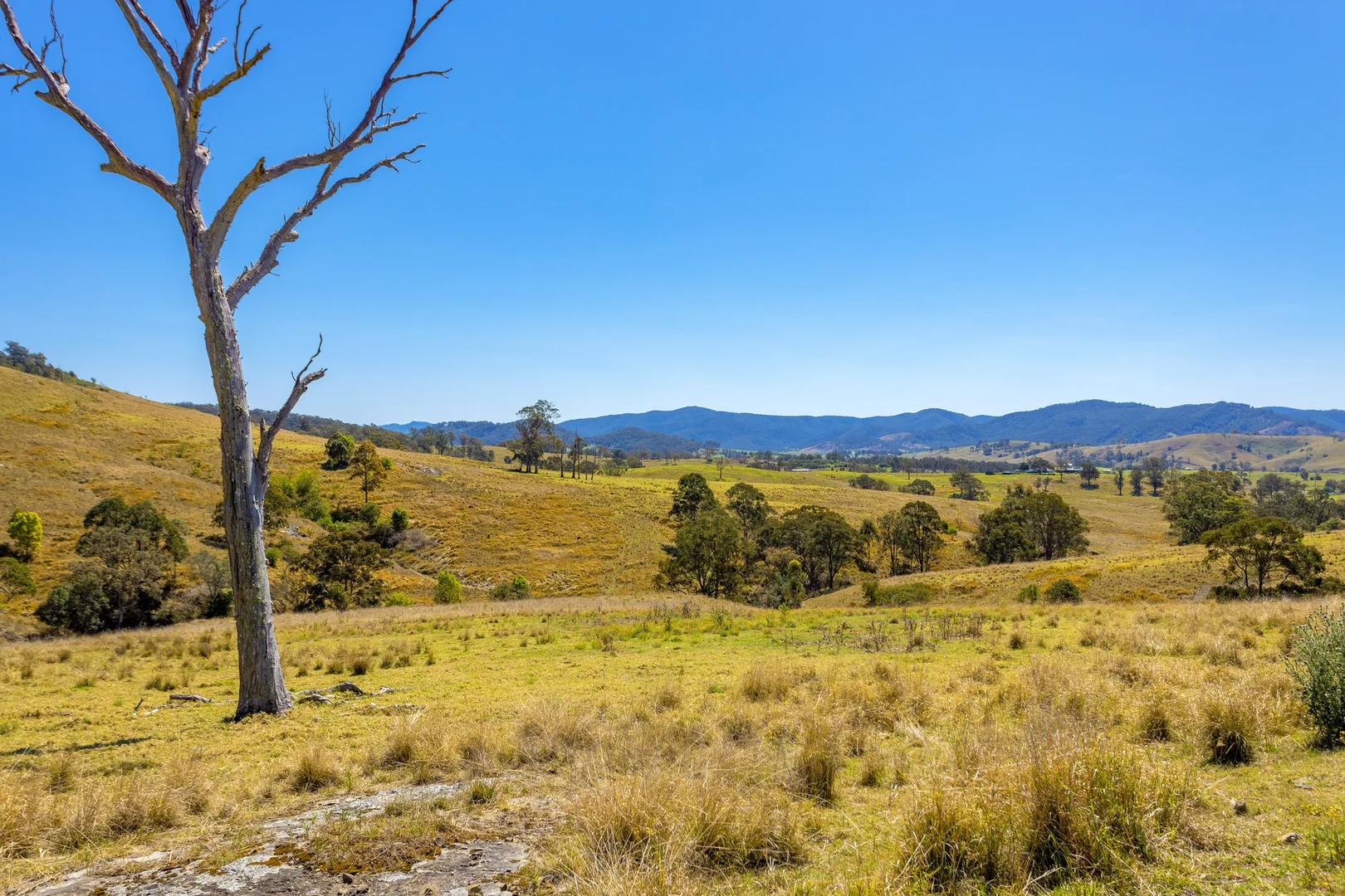 Additional image 19 of 233 Thunderbolts Way, Gloucester NSW 2422