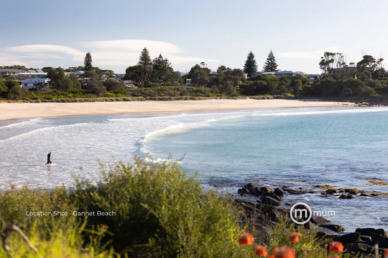 Additional image 12 of - Forster Drive, Bawley Point NSW 2539