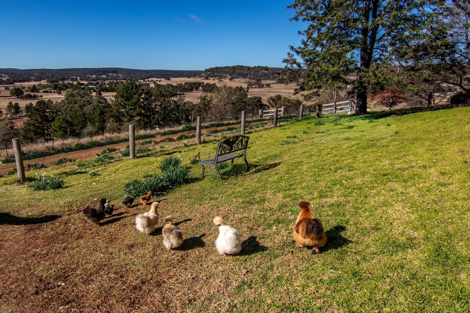 Additional image 17 of 318 Kains Flat Road, Mudgee NSW 2850