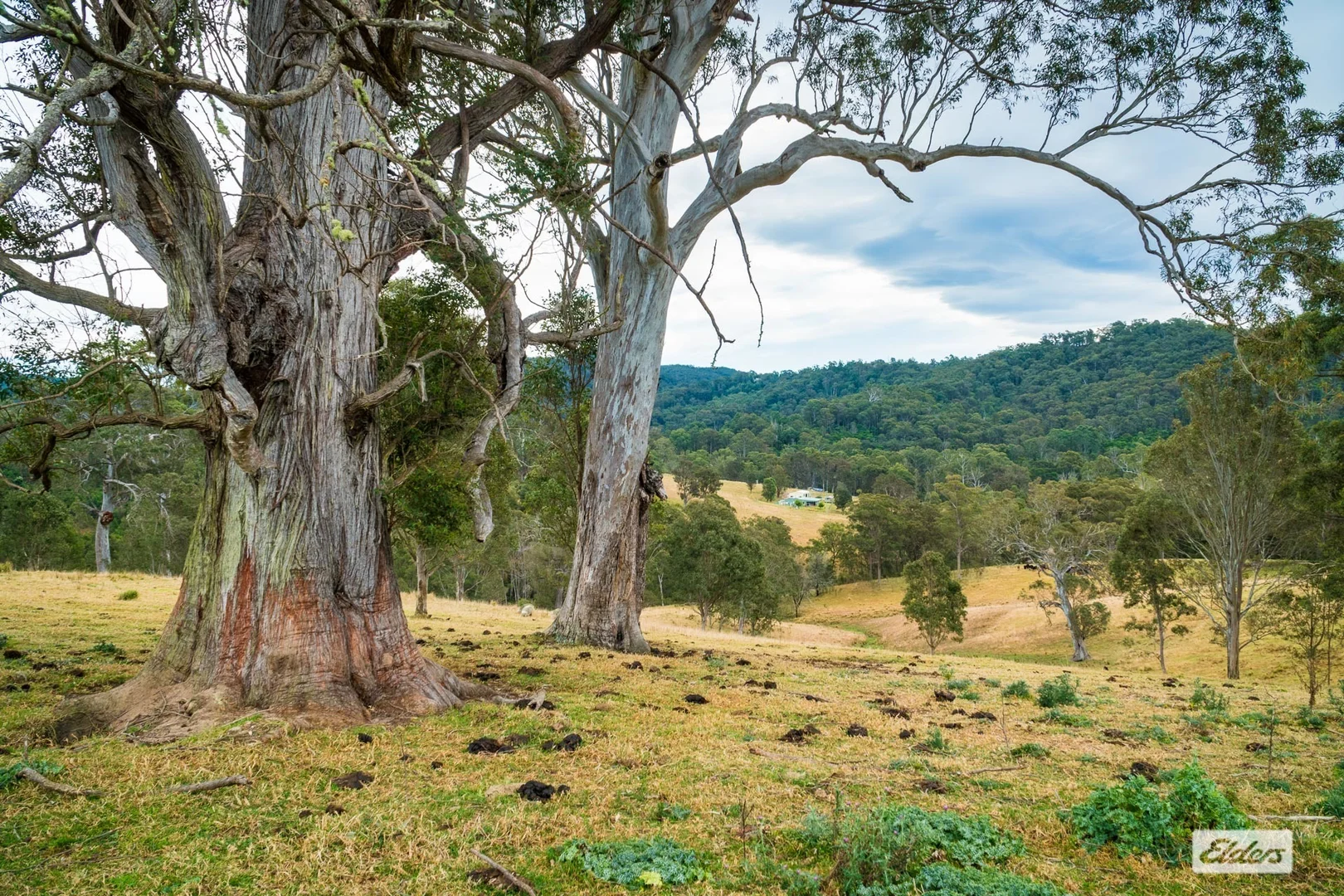 Additional image 19 of 93 Ramble Lane, Brogo NSW 2550