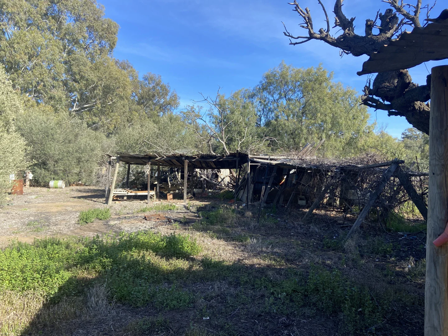 Additional image 3 of 306 Anstruther Street, Echuca VIC 3564