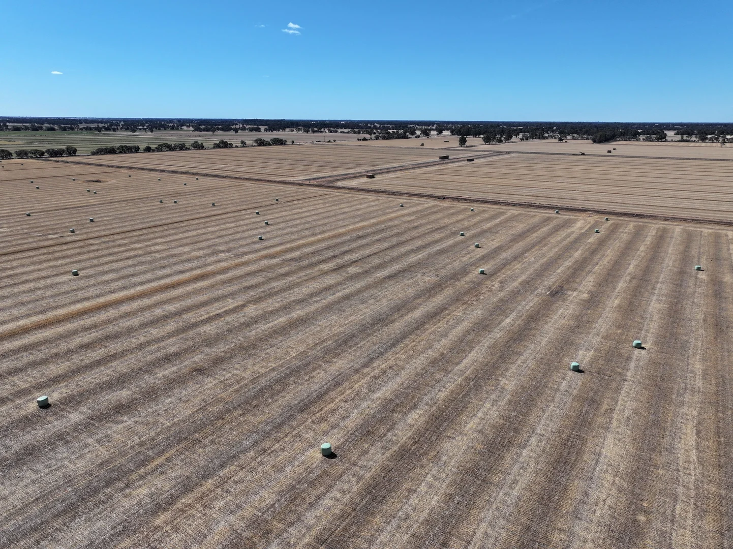 Additional image 16 of 819 Mayrung Road, Deniliquin NSW 2710