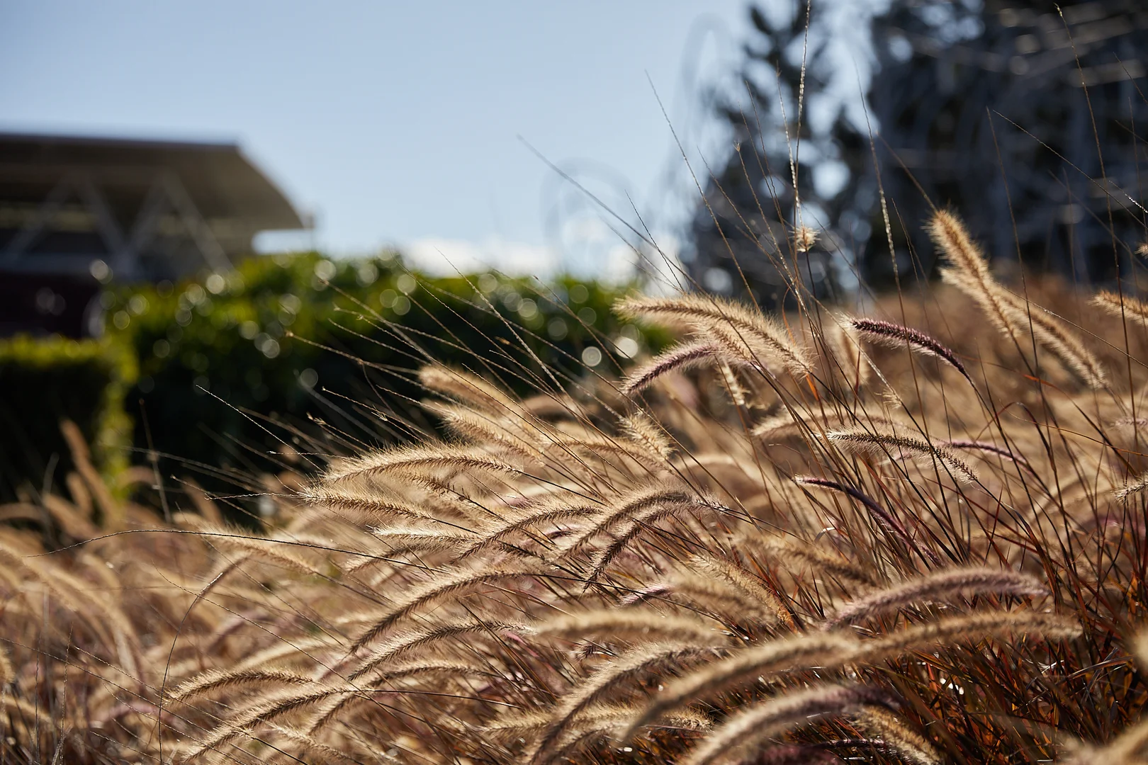 Additional image 14 of 112/26-36 Shottery Street, Yeronga QLD 4104