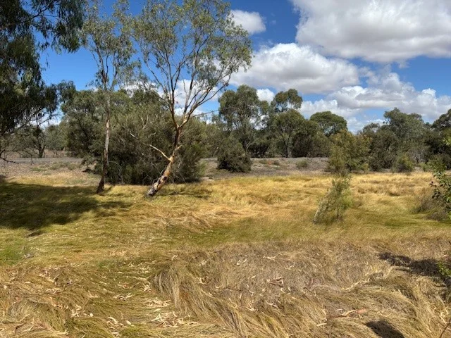 Additional image 4 of 146 Woods Street, Donald VIC 3480