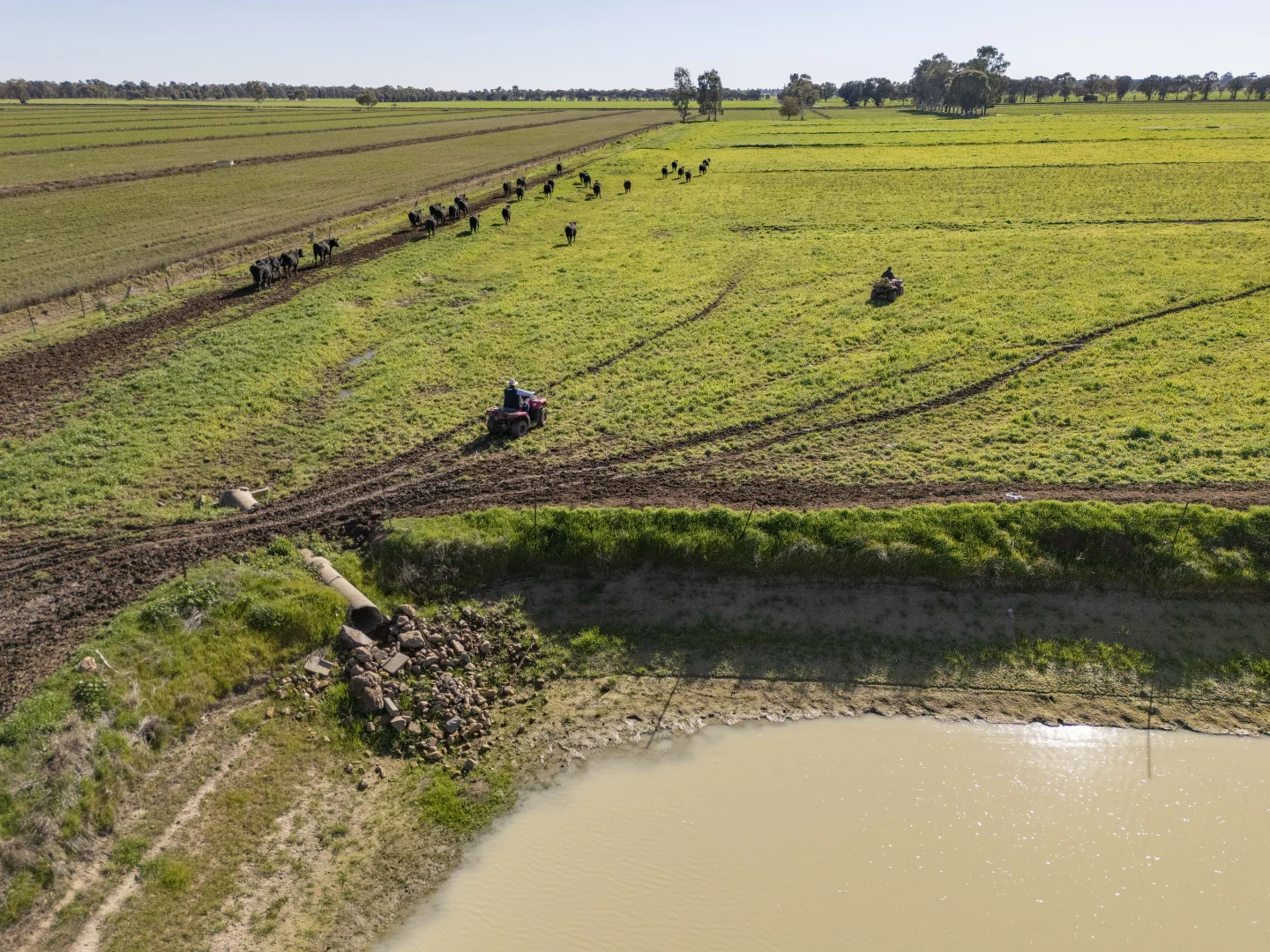 Additional image 38 of 2244 Berrigan Road, Berrigan NSW 2712