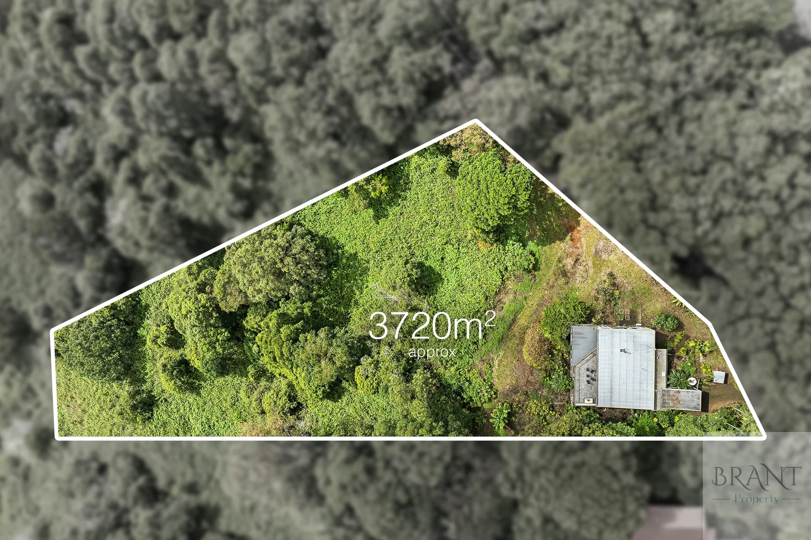 Additional image 6 of 9 Memorial Close, Montville QLD 4560