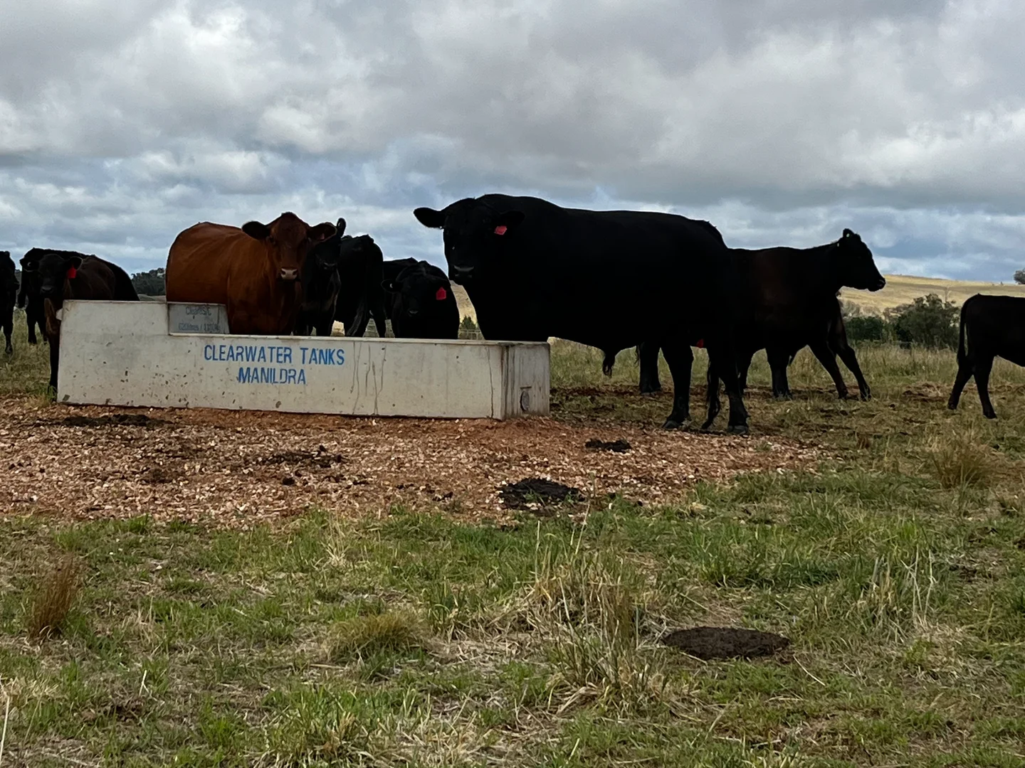 Additional image 4 of 1 Eurimbla Road, Cumnock NSW 2867