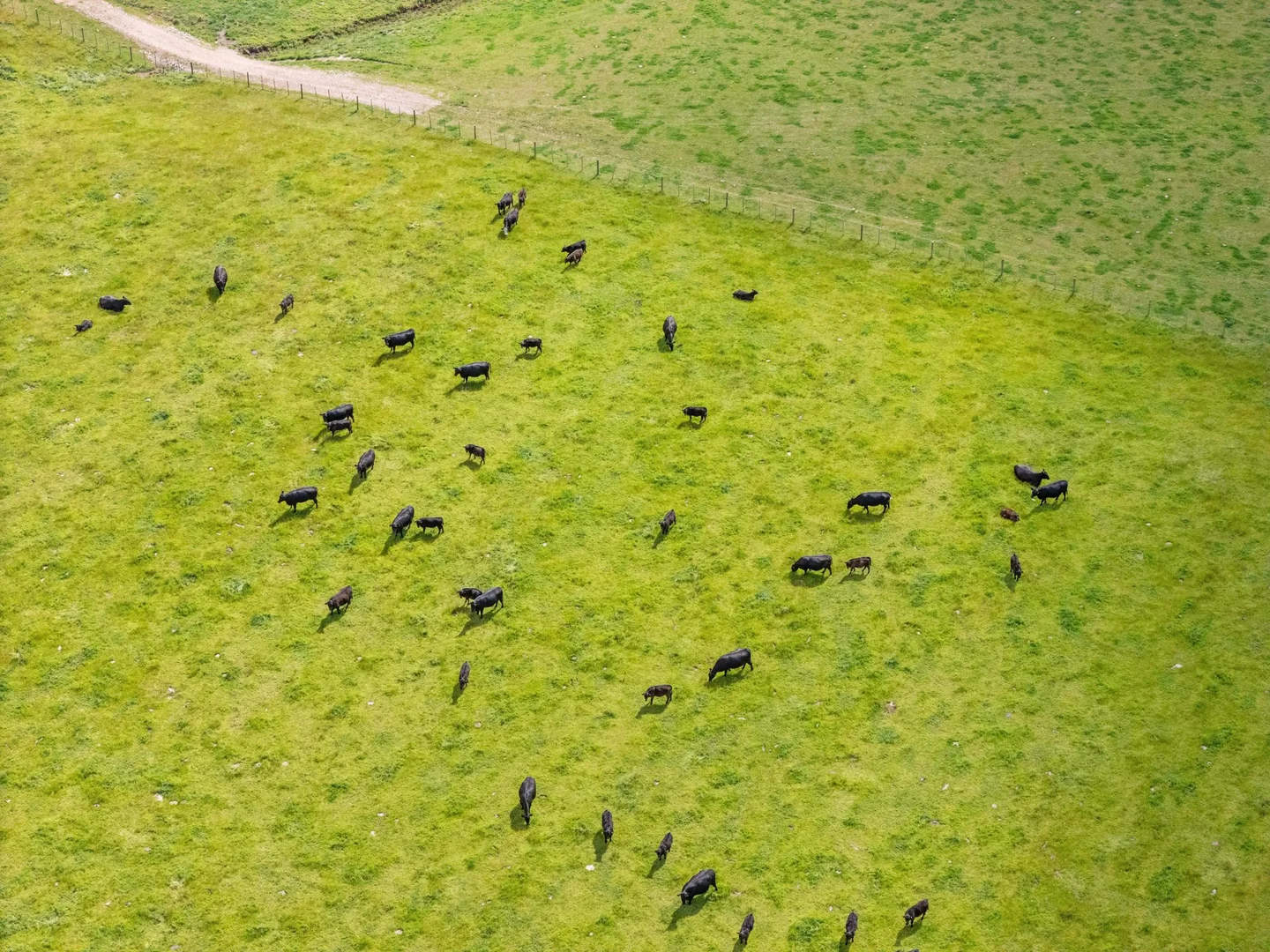 Additional image 29 of Dalwood Road, Nook TAS 7306