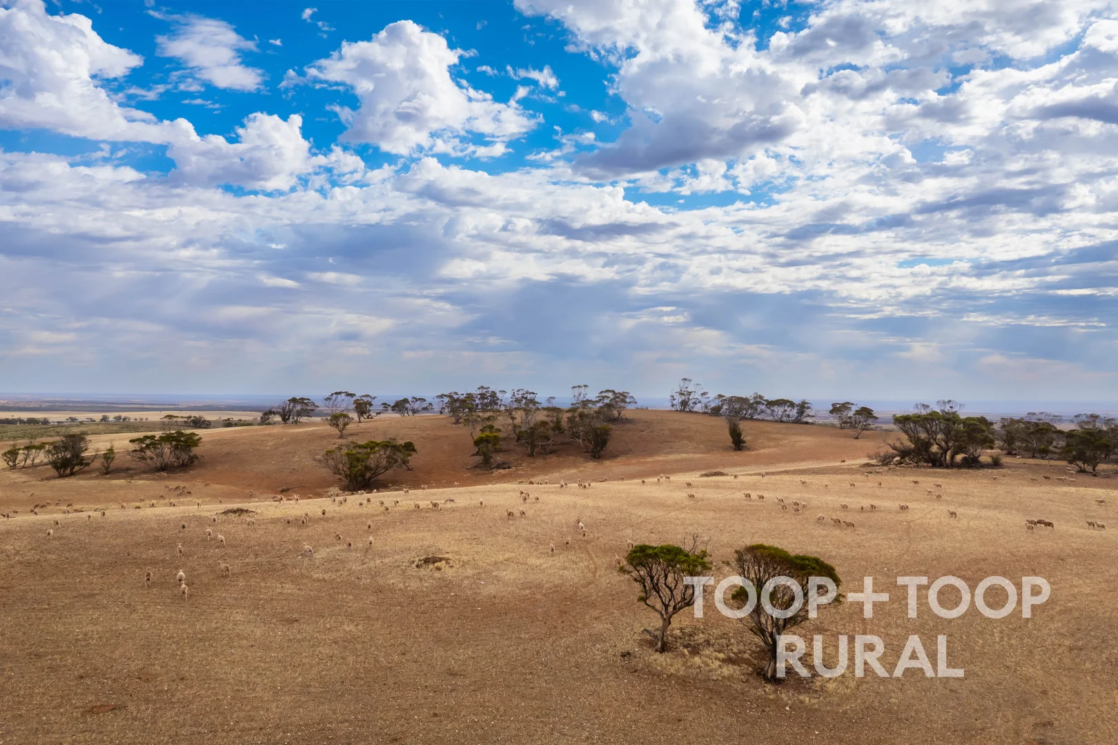 Additional image 6 of Goyder Road, Frankton SA 5374