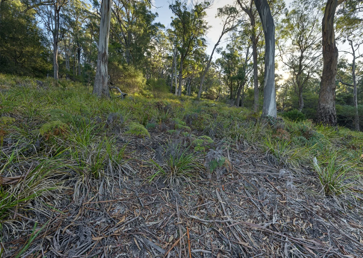 Additional image 9 of 367 Binalong Bay Road, St Helens TAS 7216