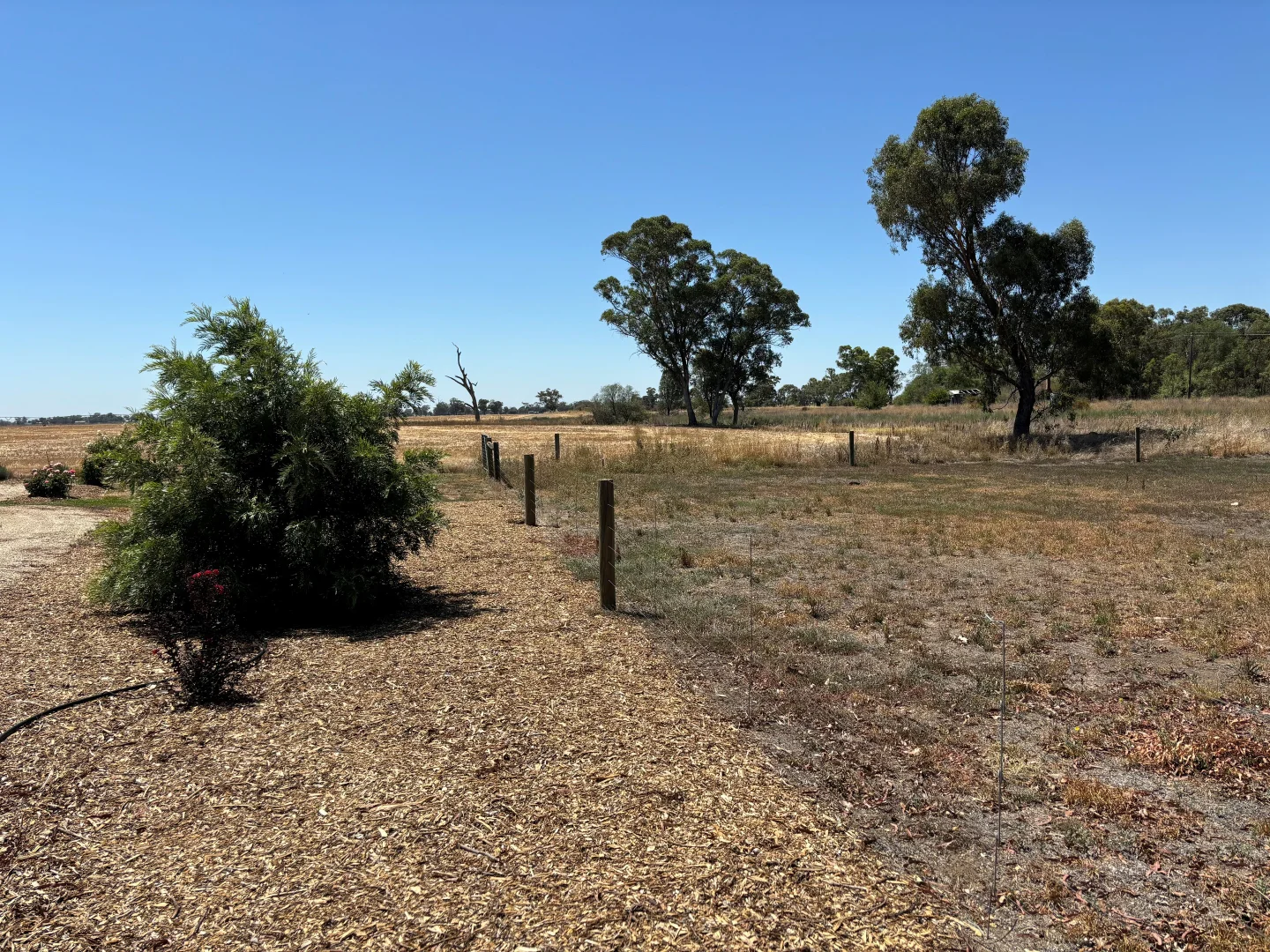 Additional image 28 of 2396 Webb Road, Nanneella VIC 3561