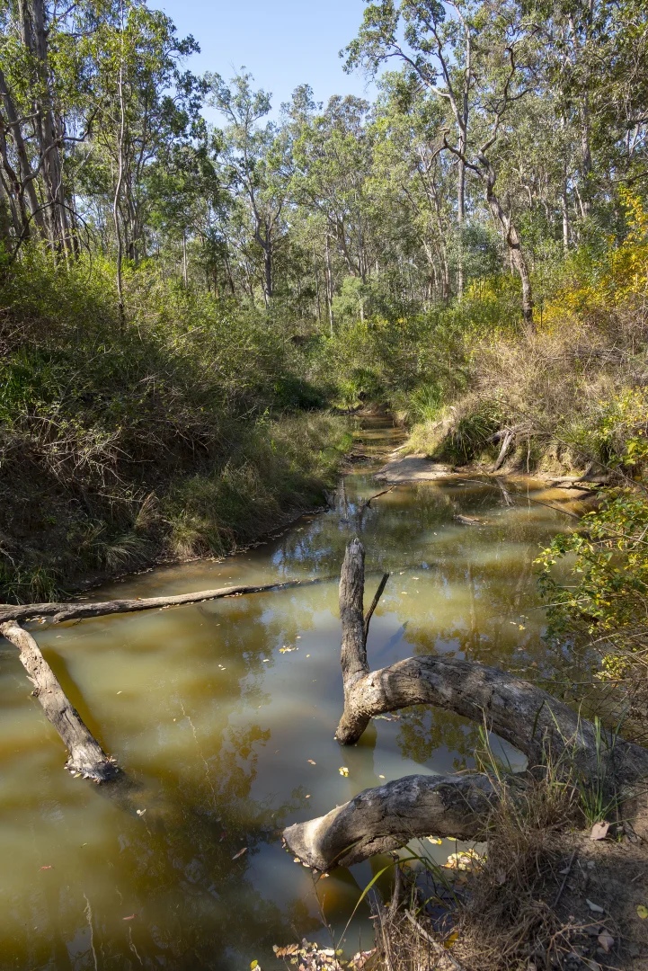 Additional image 29 of 151 Cameron Road, Taromeo QLD 4314