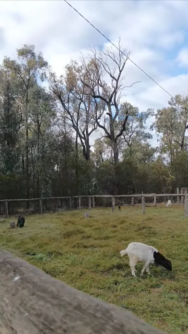 Additional image 9 of Tara QLD 4421