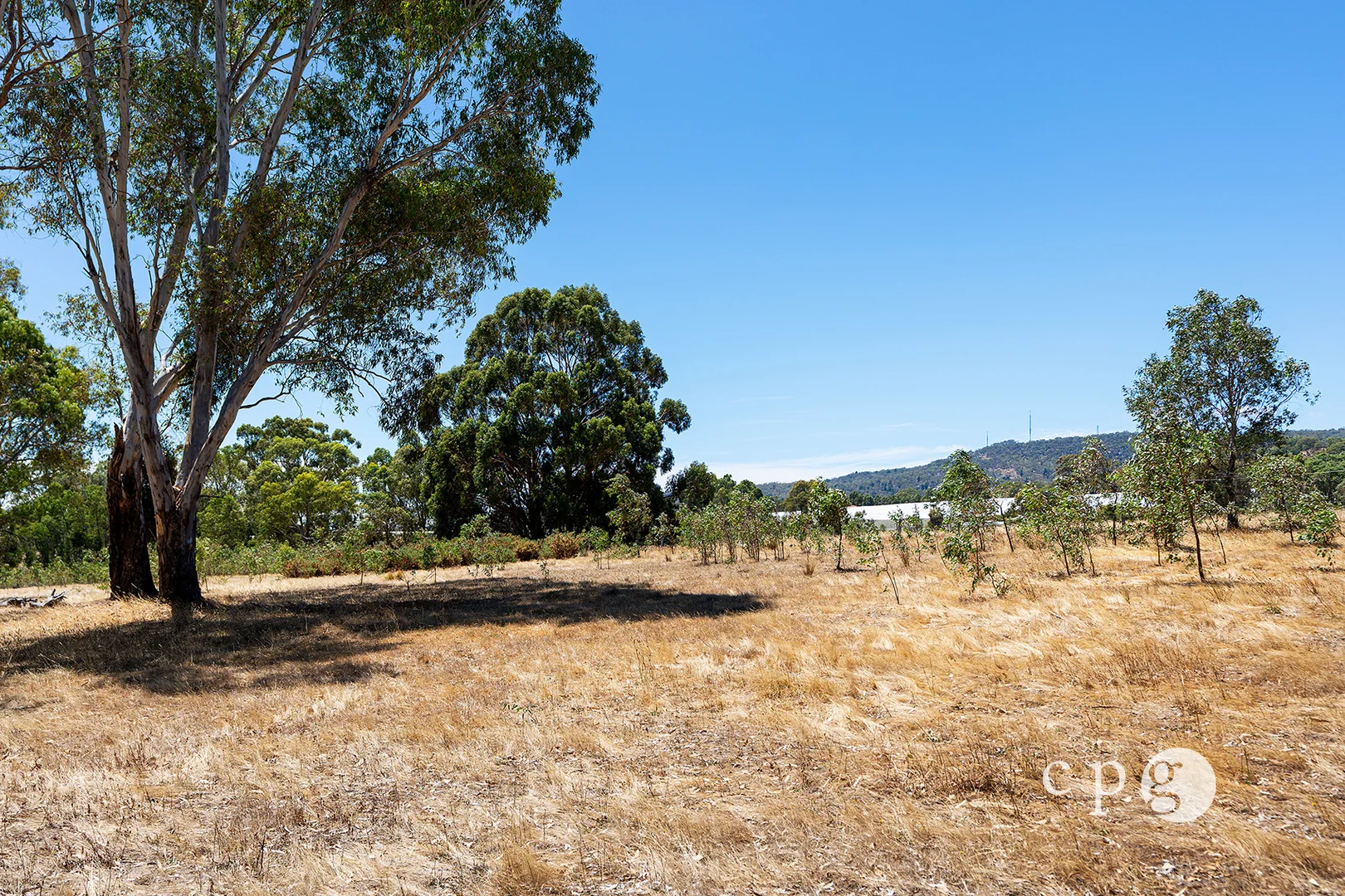 Additional image 14 of 256 Blackjack Road, Harcourt VIC 3453