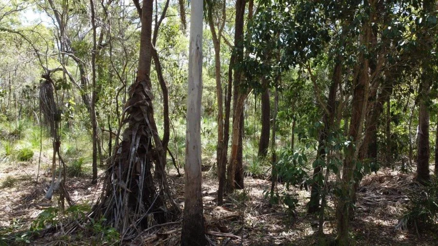 Additional image 28 of 9 Coe Road, Deepwater QLD 4674