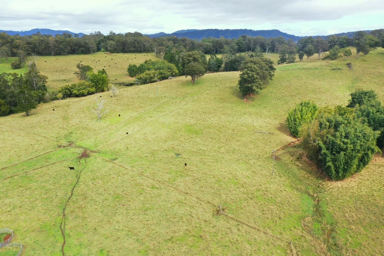 Additional image 26 of 66 Old Tweed Road, Wadeville NSW 2474