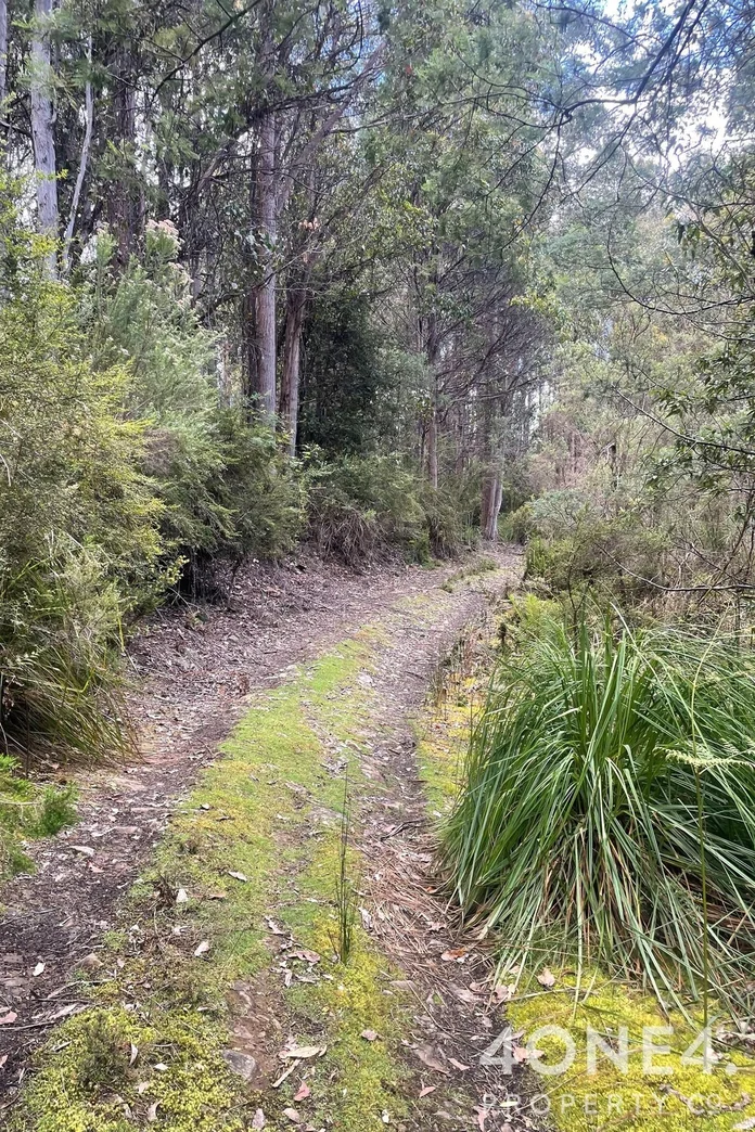 Additional image 32 of 279 Mount Hull Road, Collinsvale TAS 7012