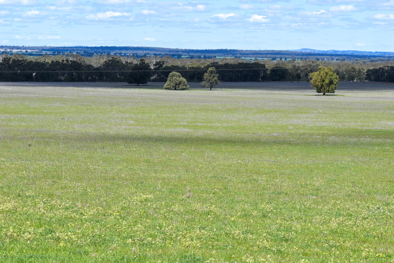 Additional image 4 of 120 Melrose Plains Road, Fifield NSW 2875