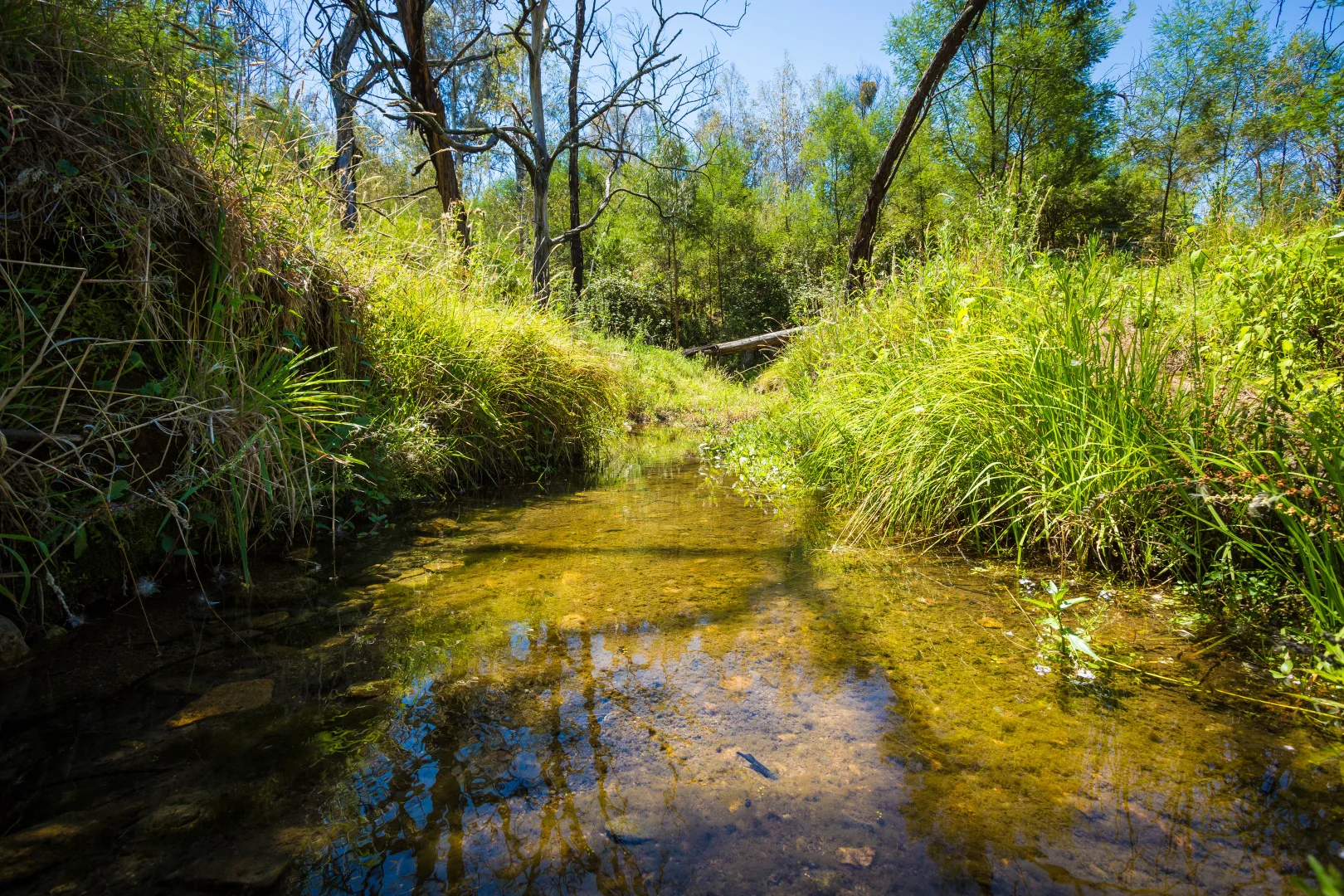 Additional image 3 of 2903 Mount Darragh Road, Wyndham NSW 2550