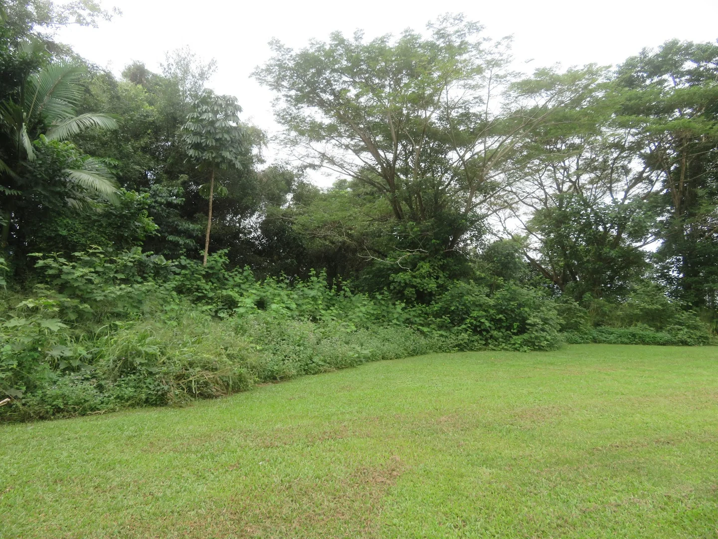 Additional image 21 of 126-128 Bryant Street, Tully QLD 4854