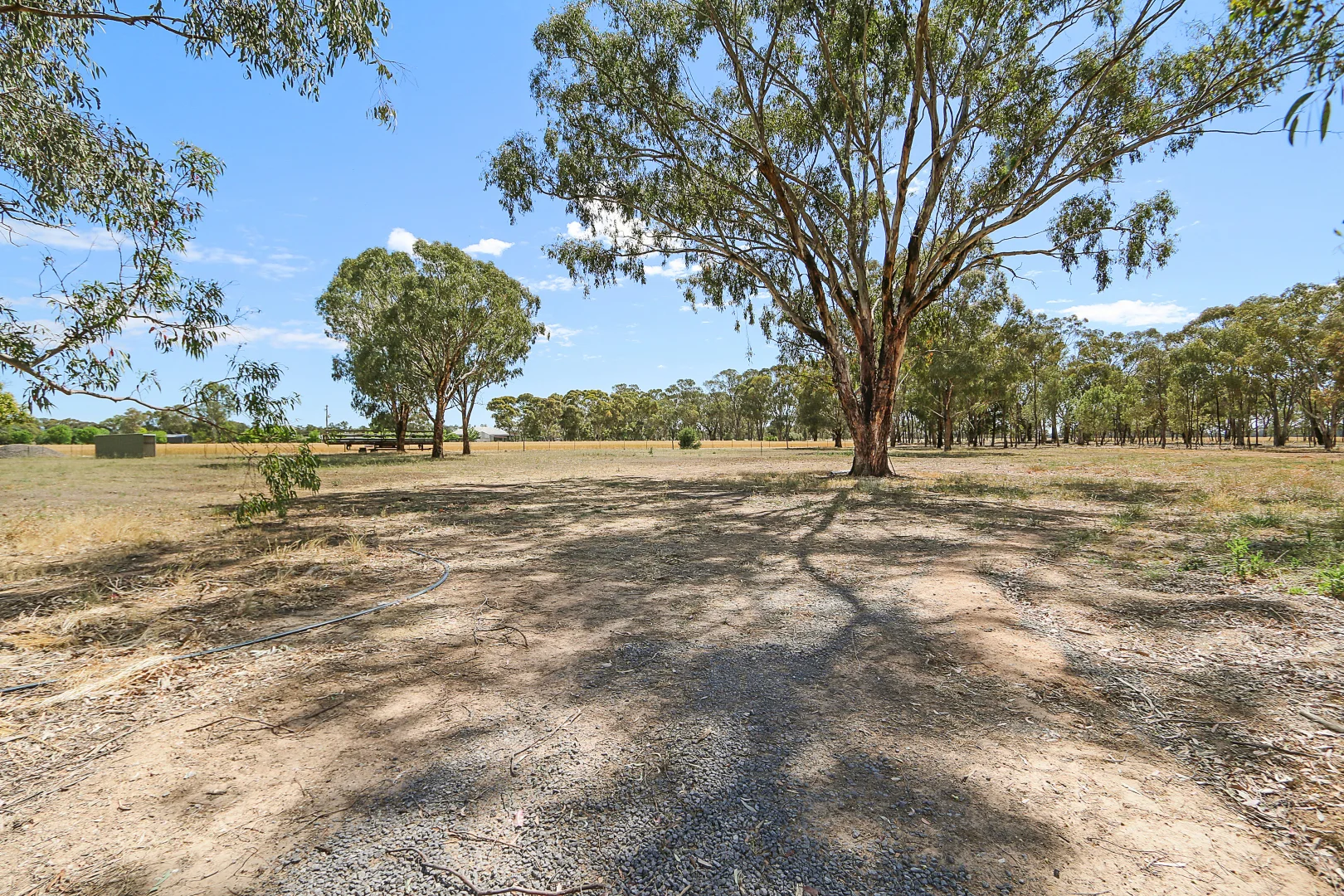 Additional image 32 of 303 Skehans Lane, Corowa NSW 2646