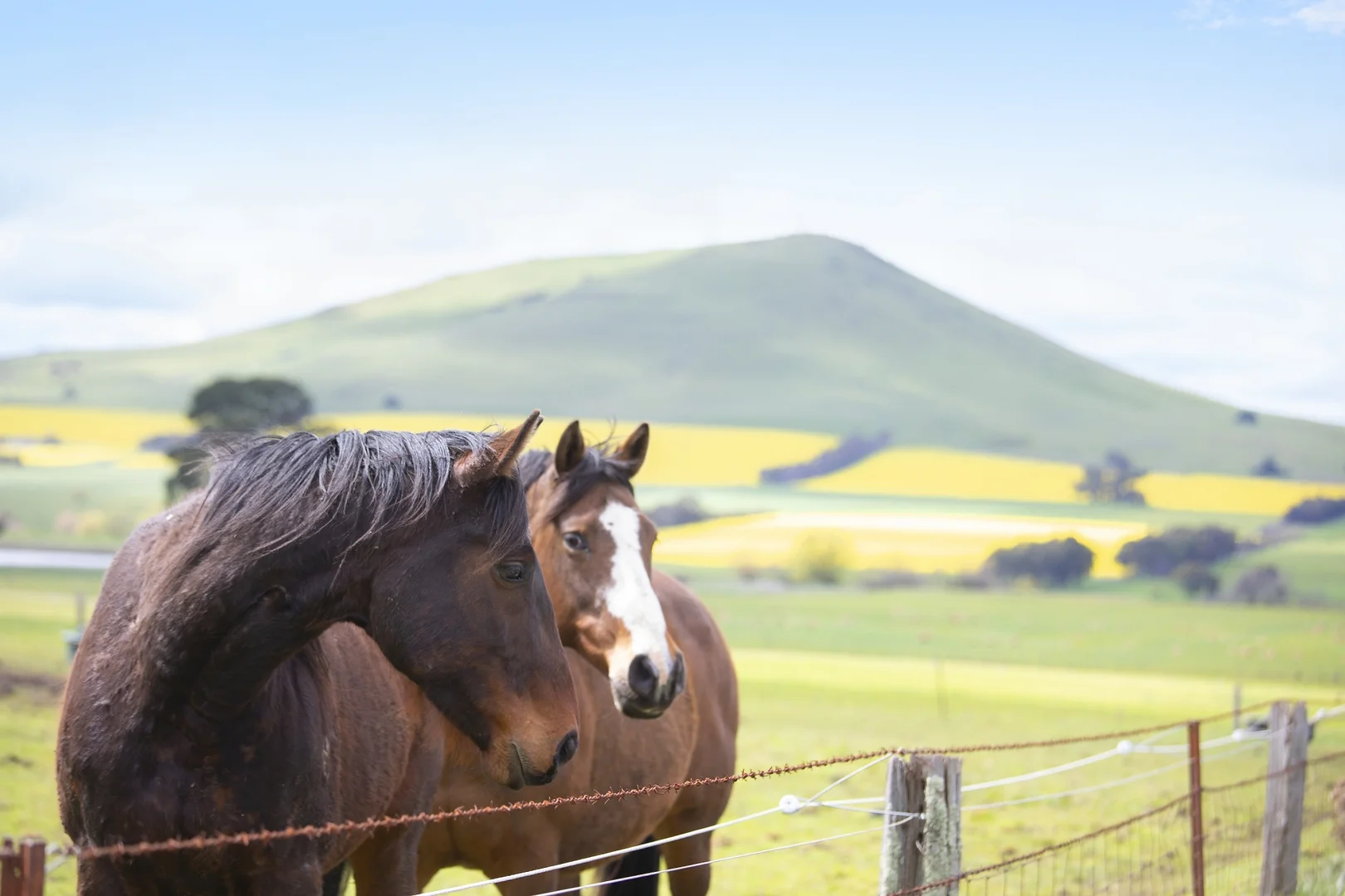 Additional image 23 of 114 Cemetery Road, Smeaton VIC 3364