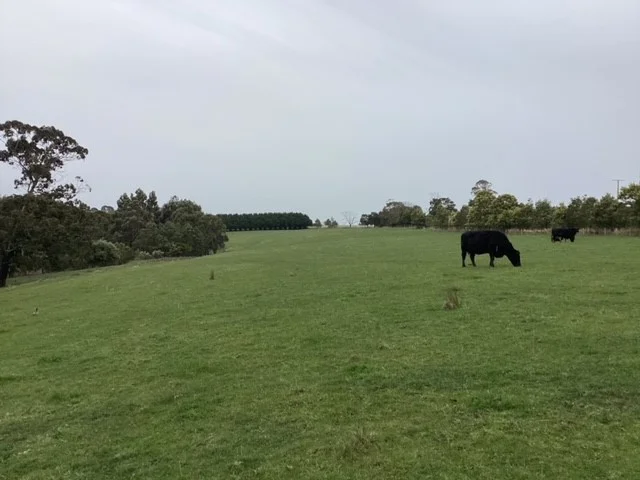 Additional image 18 of 236 Morrisons Lane, Korobeit VIC 3341