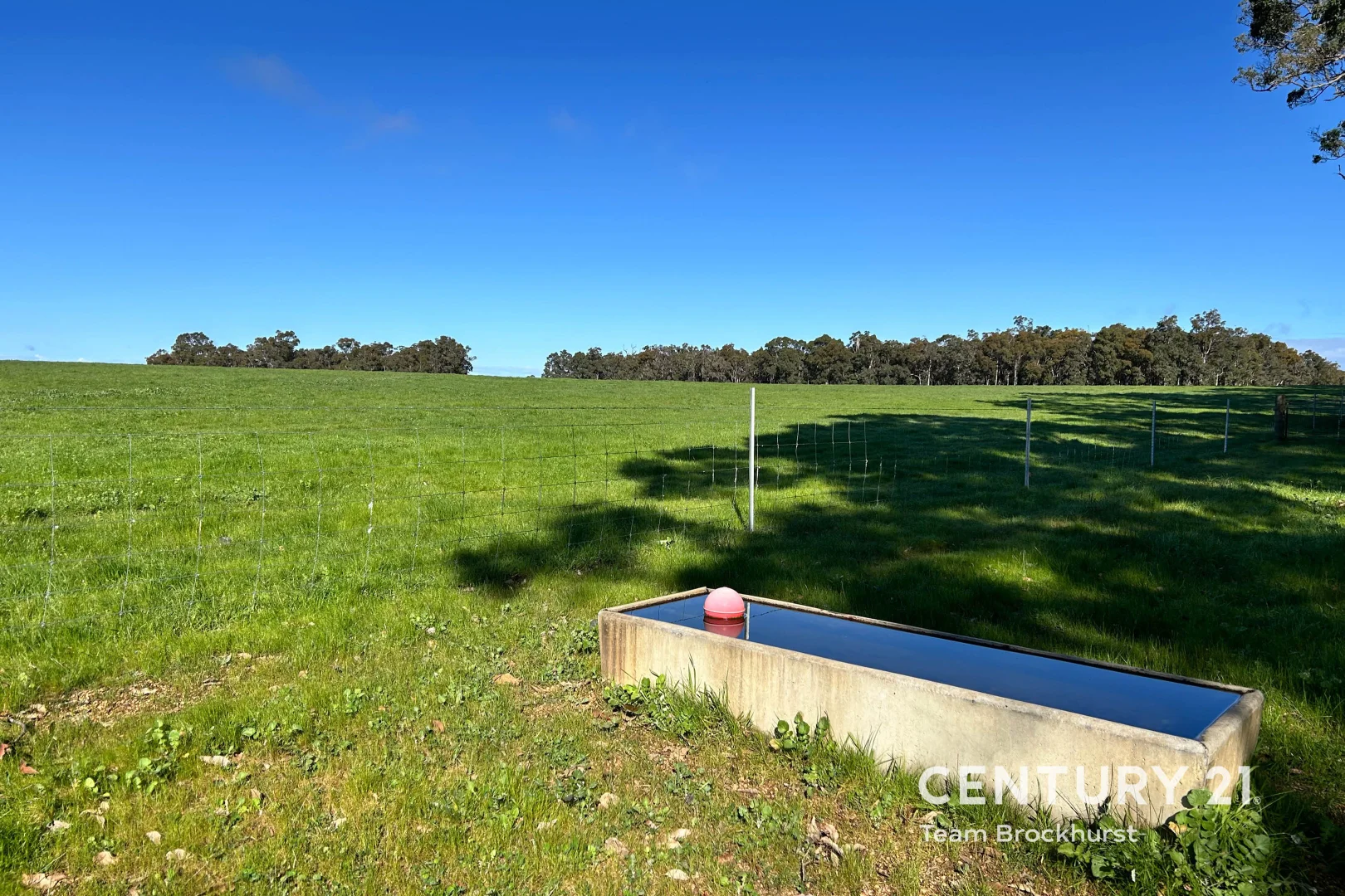 Additional image 13 of 2281 Balbarrup Road, Palgarup WA 6258