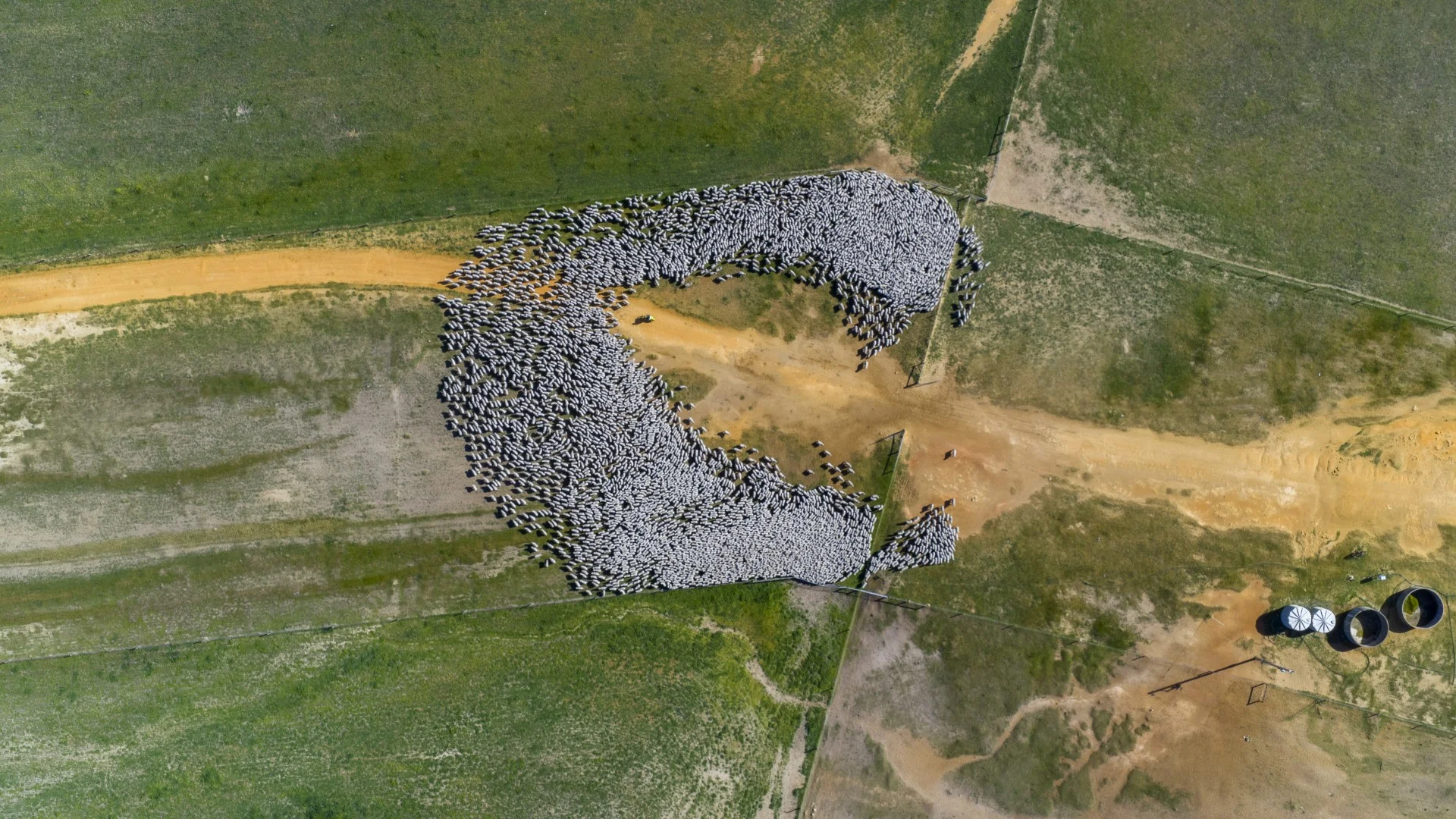 Additional image 23 of 1579 Chappel Road, Telopea Downs VIC 3420