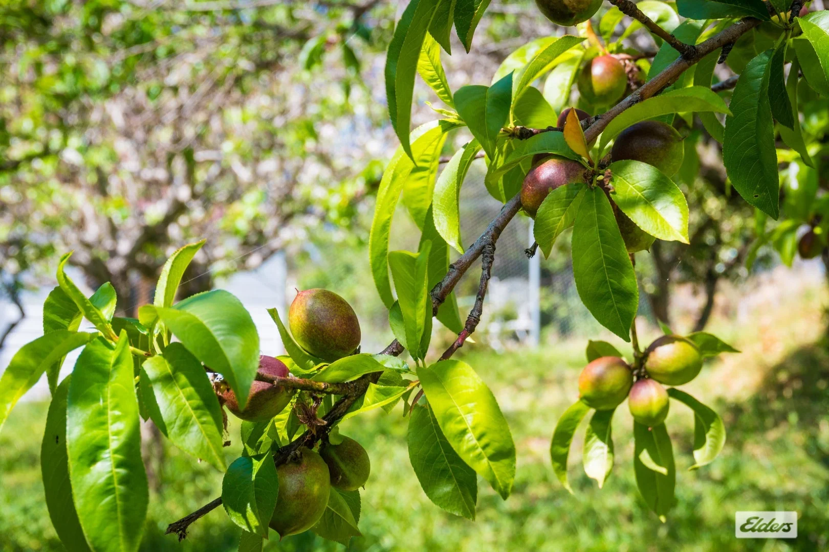 Additional image 68 of 354 Tantawangalo Mountain Road, Candelo NSW 2550