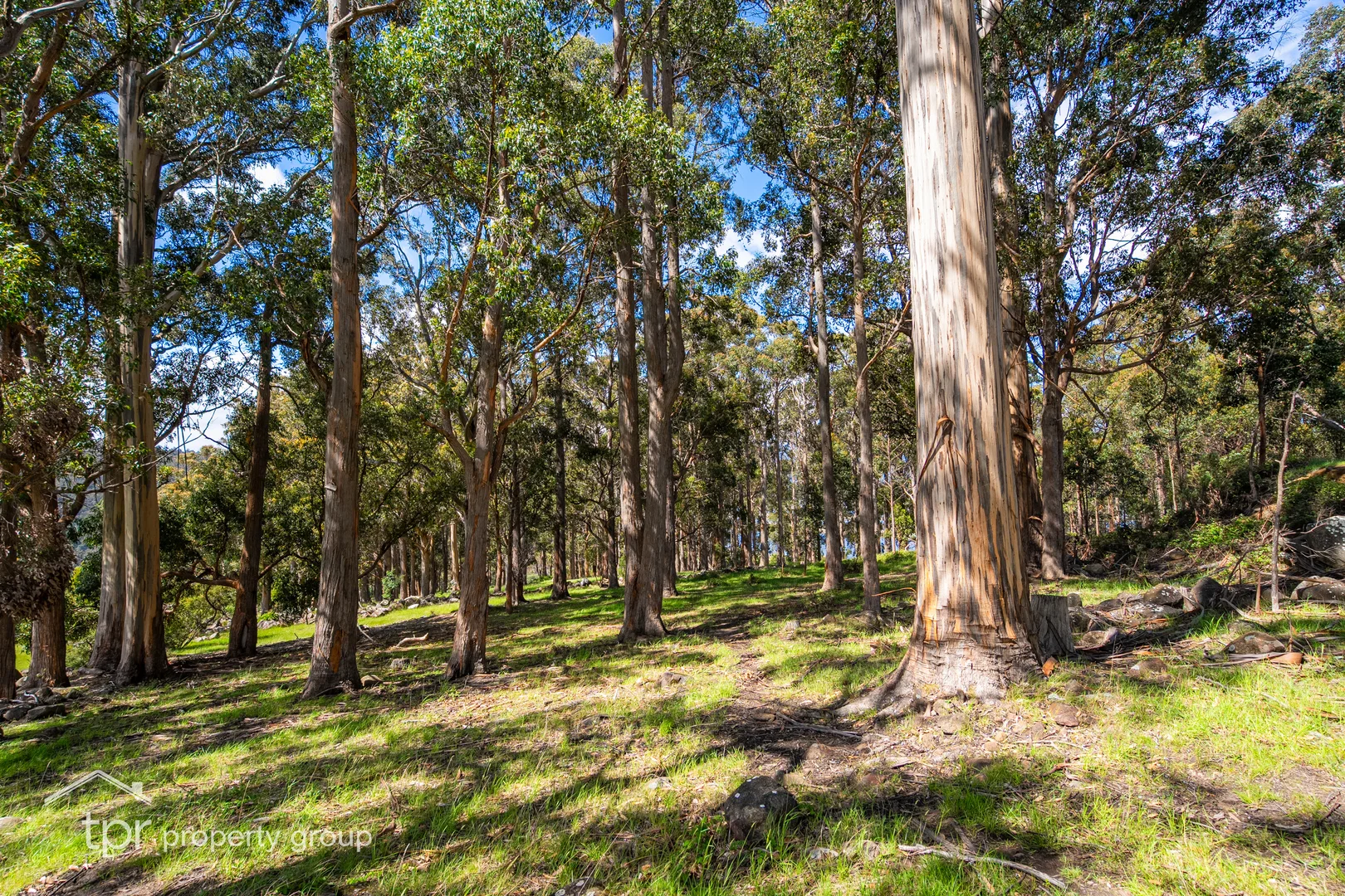 Additional image 21 of Lot 1 Braeside Road, Franklin TAS 7113