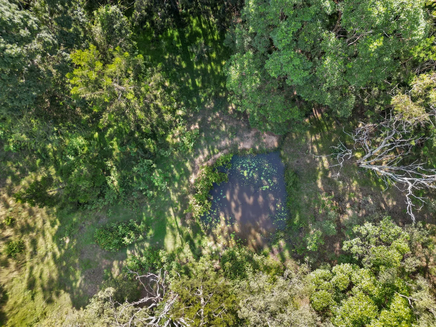 Additional image 20 of 169 Dunns Road, Wolffdene QLD 4207