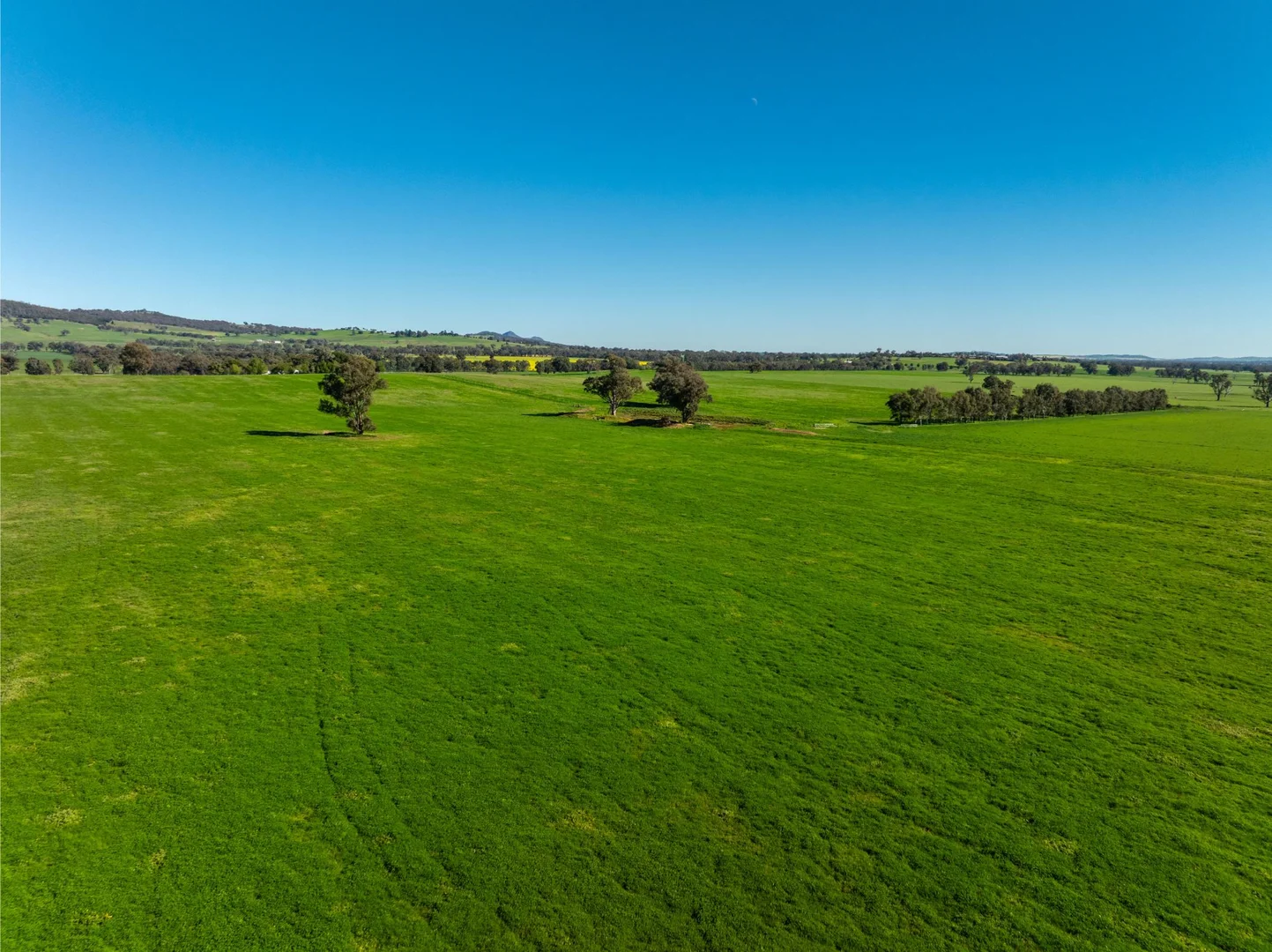 Additional image 15 of 272 Bulloc Hill Road, Mangoplah NSW 2652