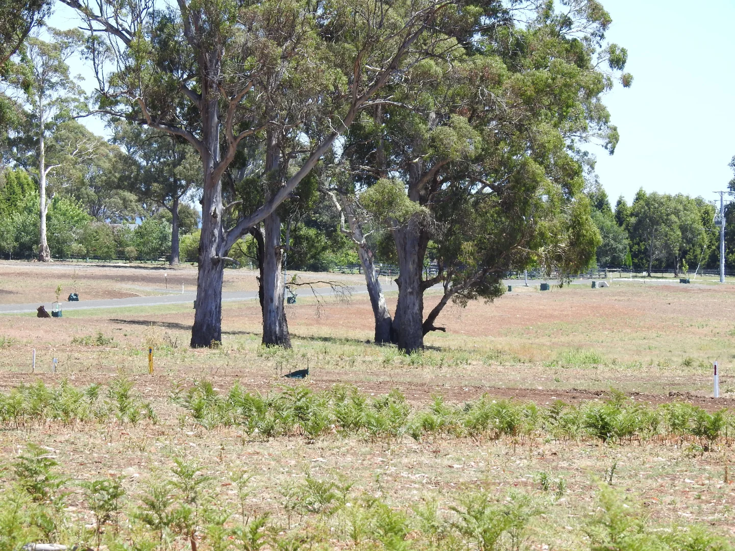 Additional image 6 of 5A Eiger Court, Grindelwald TAS 7277