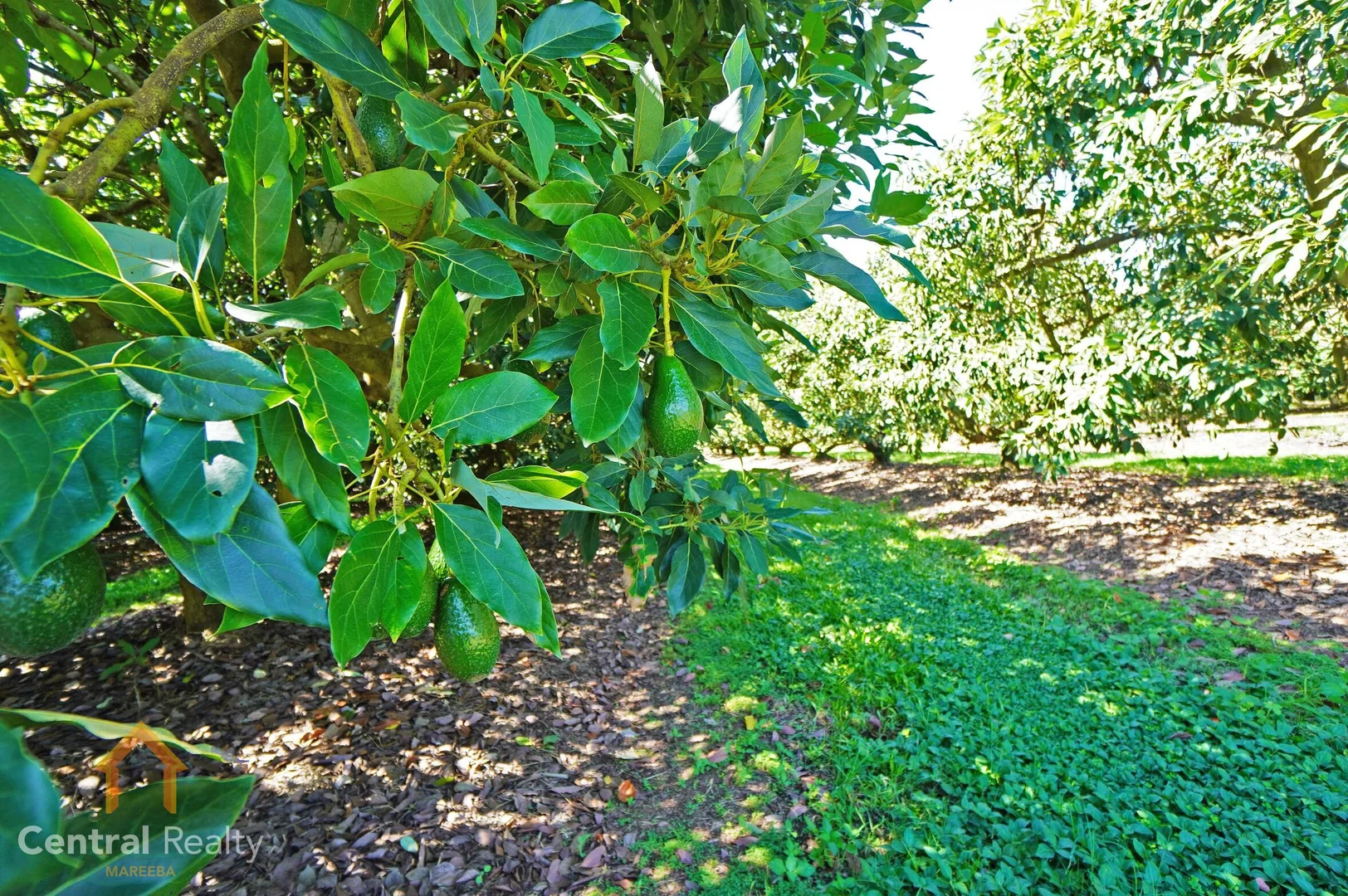 Additional image 17 of 44 Carman Road, Mareeba QLD 4880